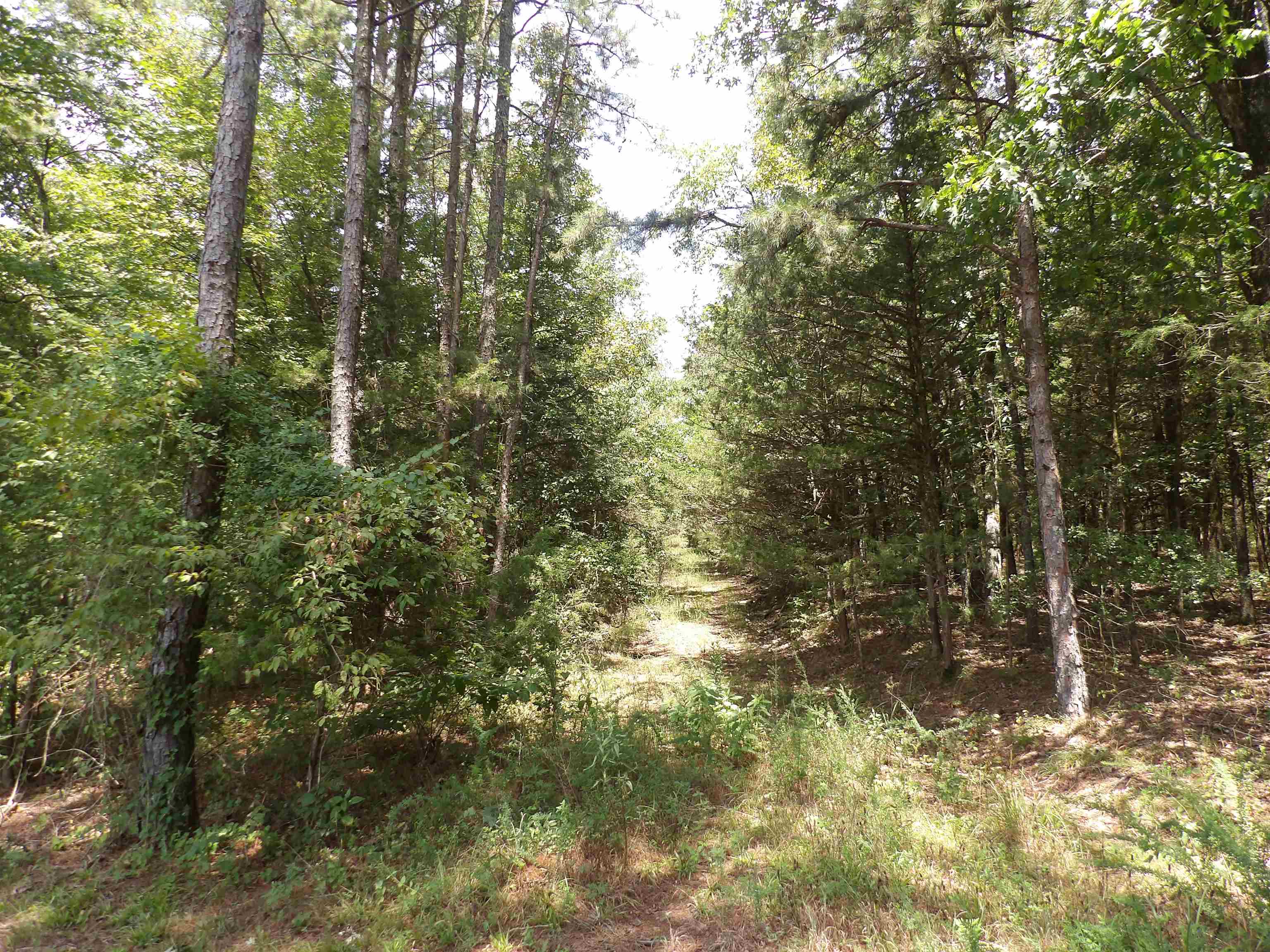 1608 County Road 3594 Property Photo 35