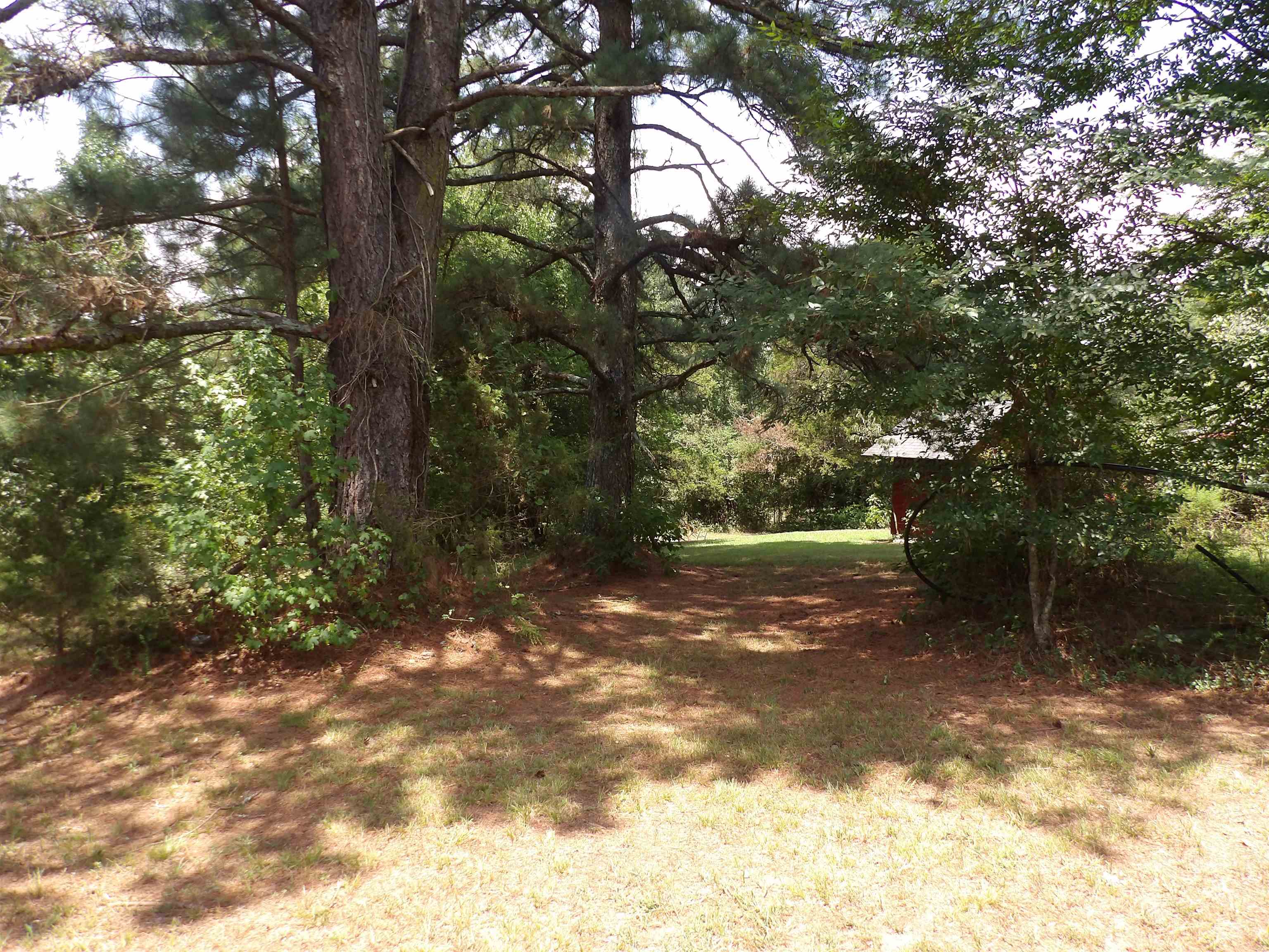 1608 County Road 3594 Property Photo 42