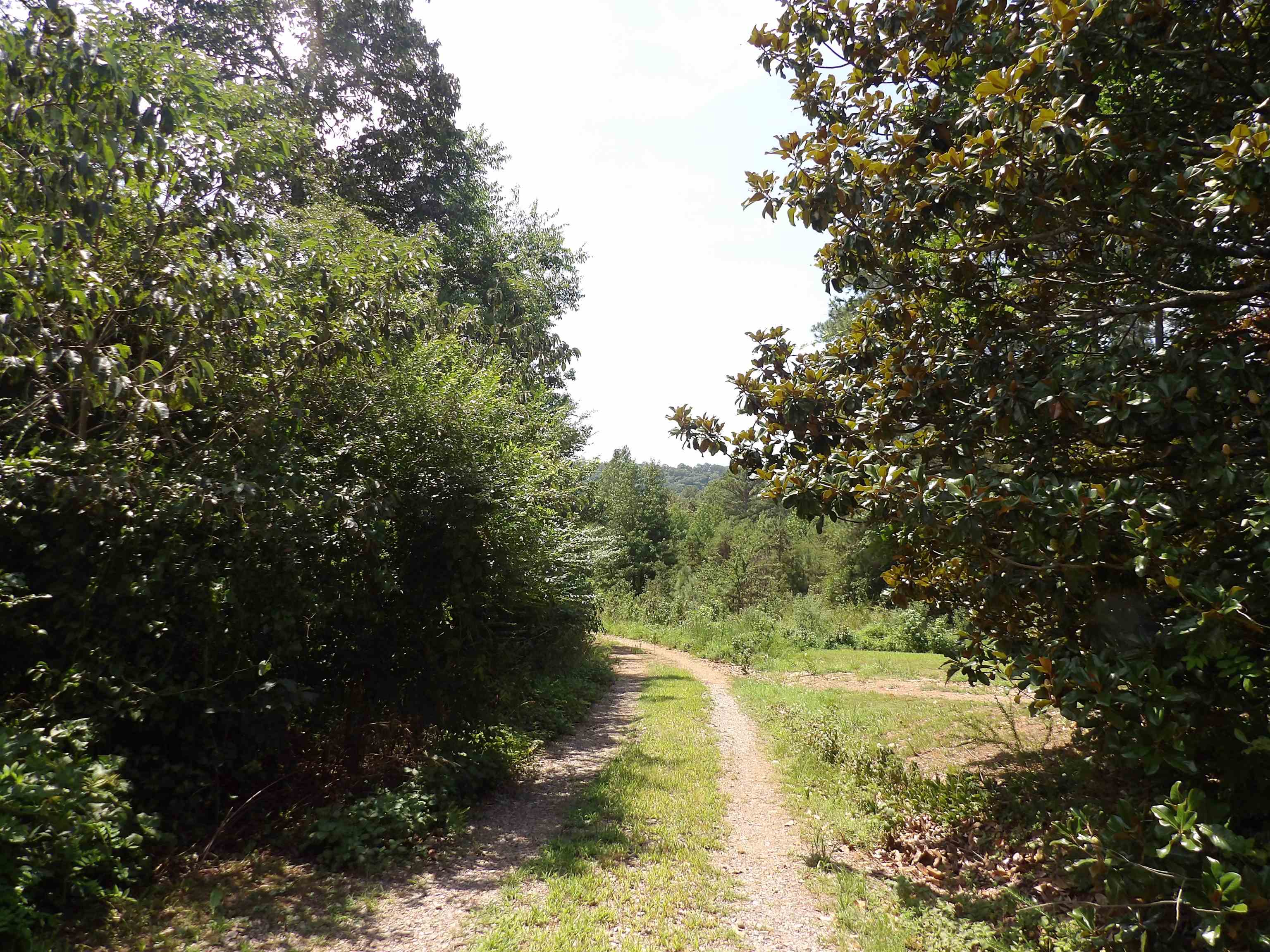 1608 County Road 3594 Property Photo 43