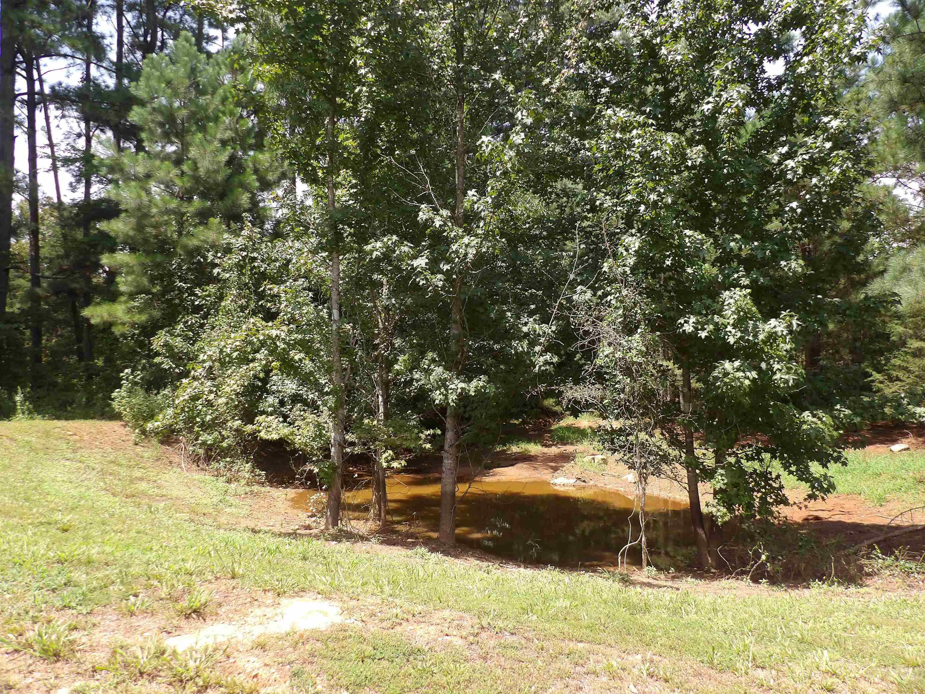1608 County Road 3594 Property Photo 44