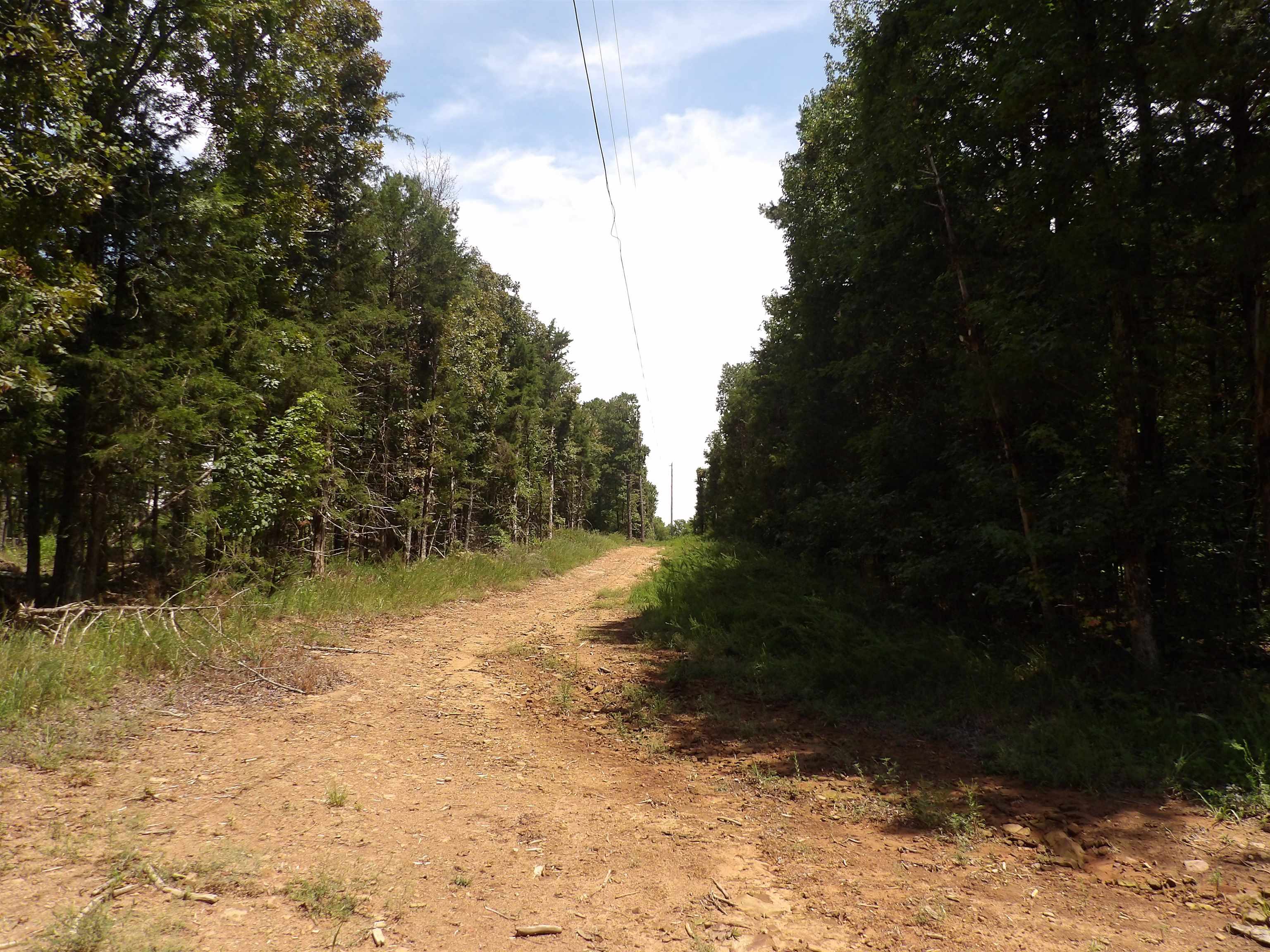 1608 County Road 3594 Property Photo 46