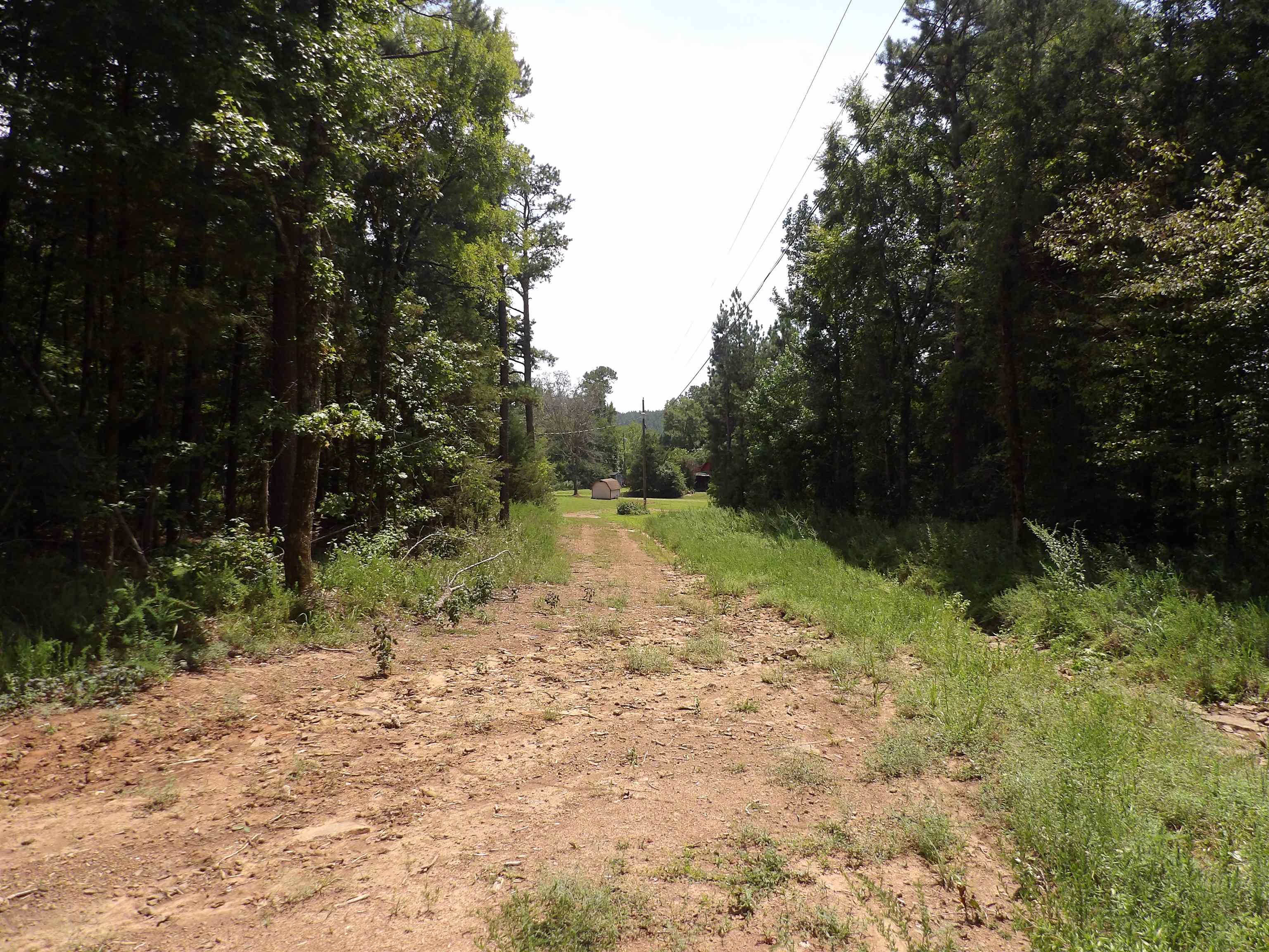 1608 County Road 3594 Property Photo 47