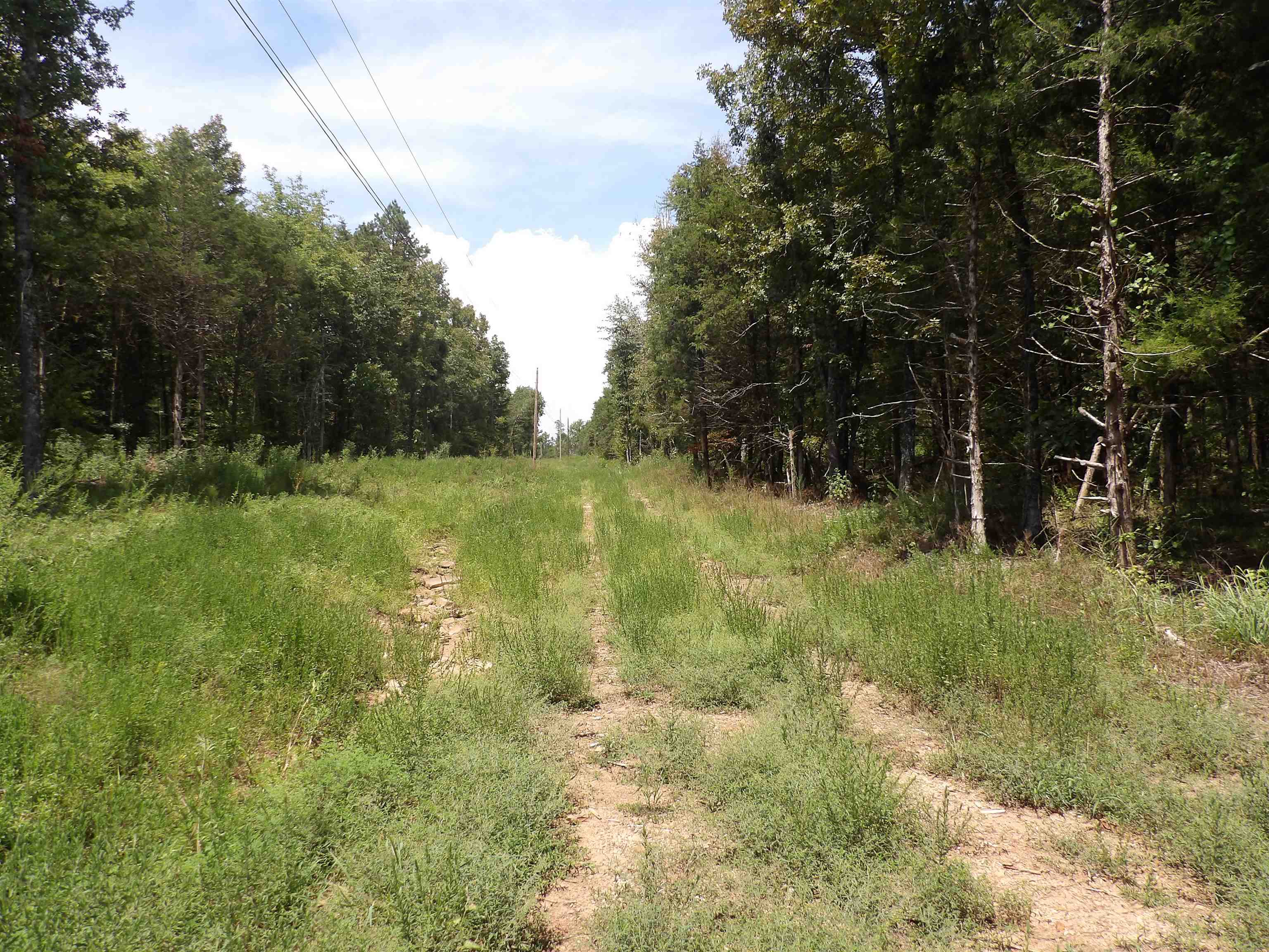 1608 County Road 3594 Property Photo 48