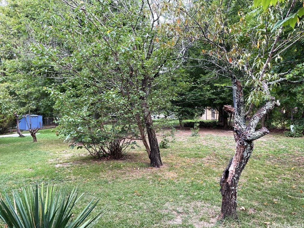 1302 Martin Lane Property Photo 7