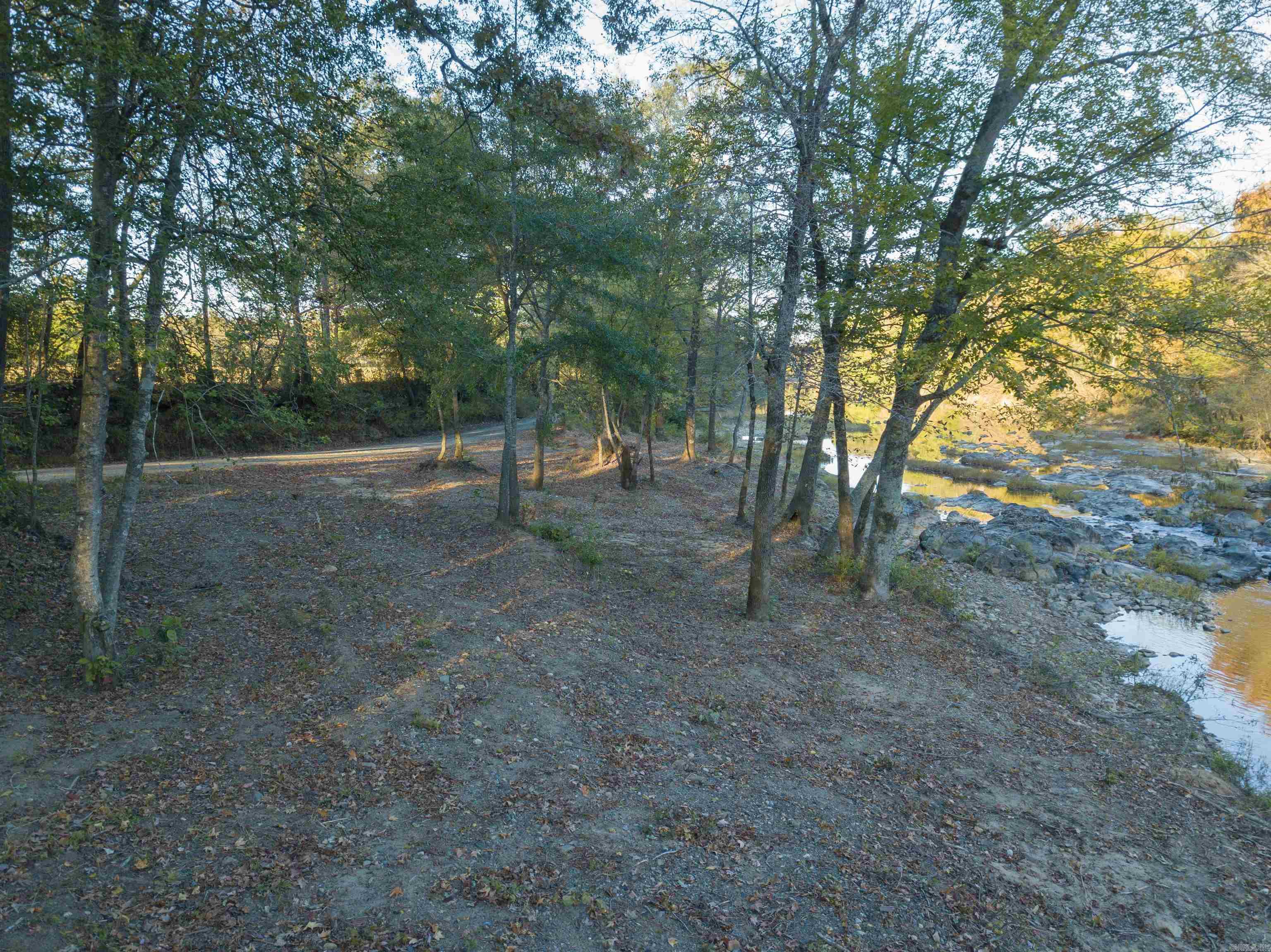9999 Polk Road 38 Property Photo 2