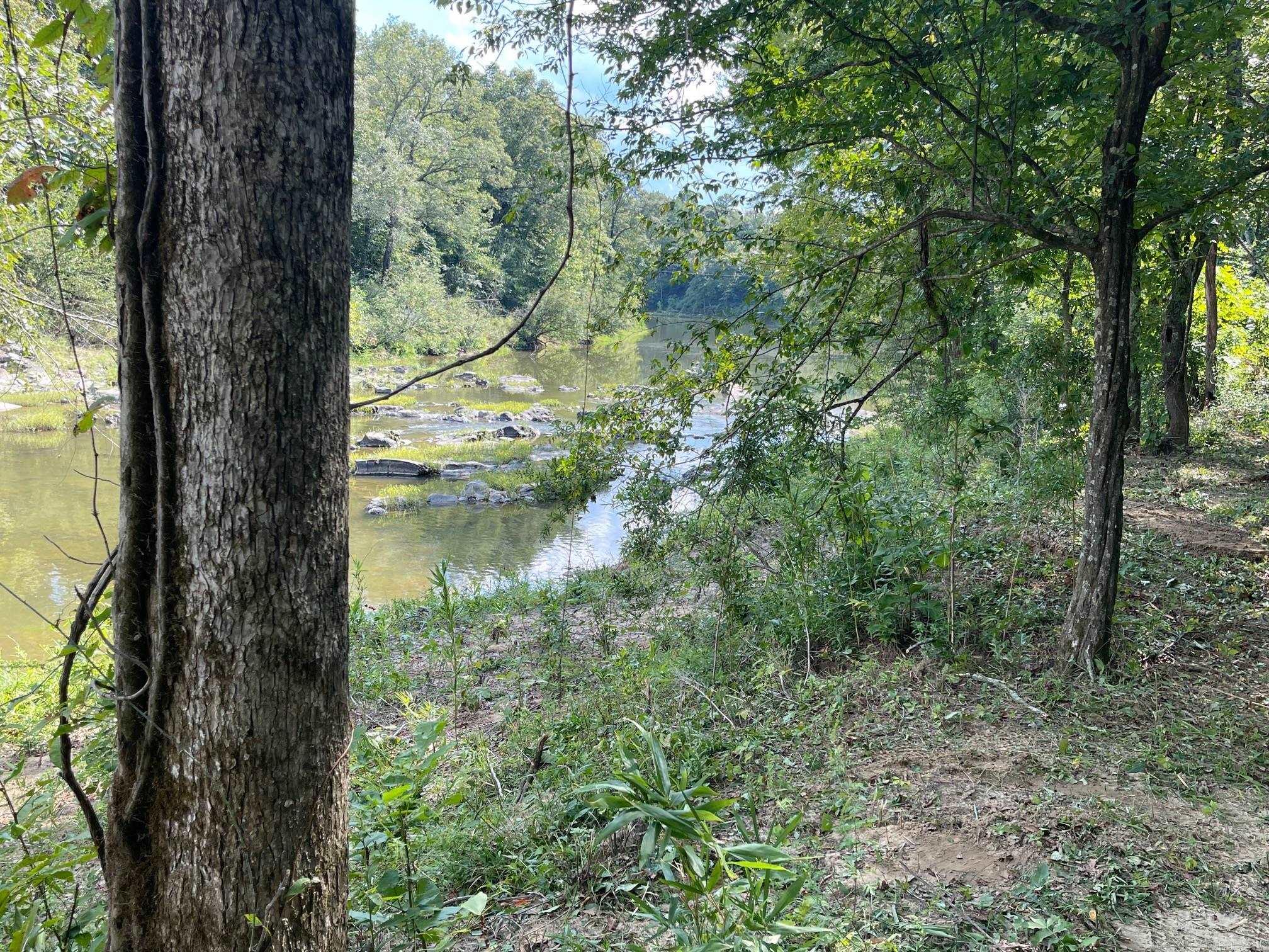9999 Polk Road 38 Property Photo 11