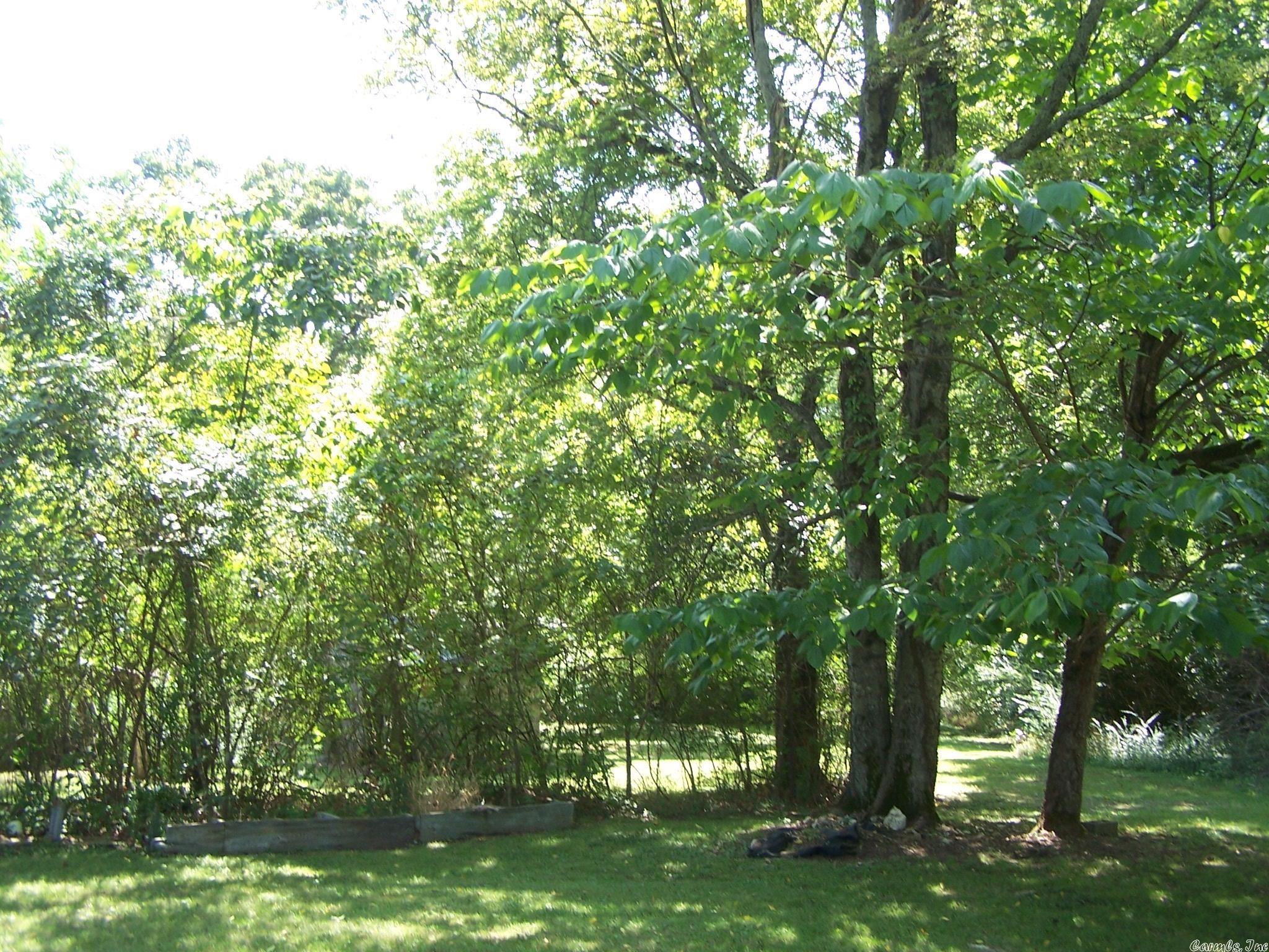 545 Ash Flat Dr Property Photo 14