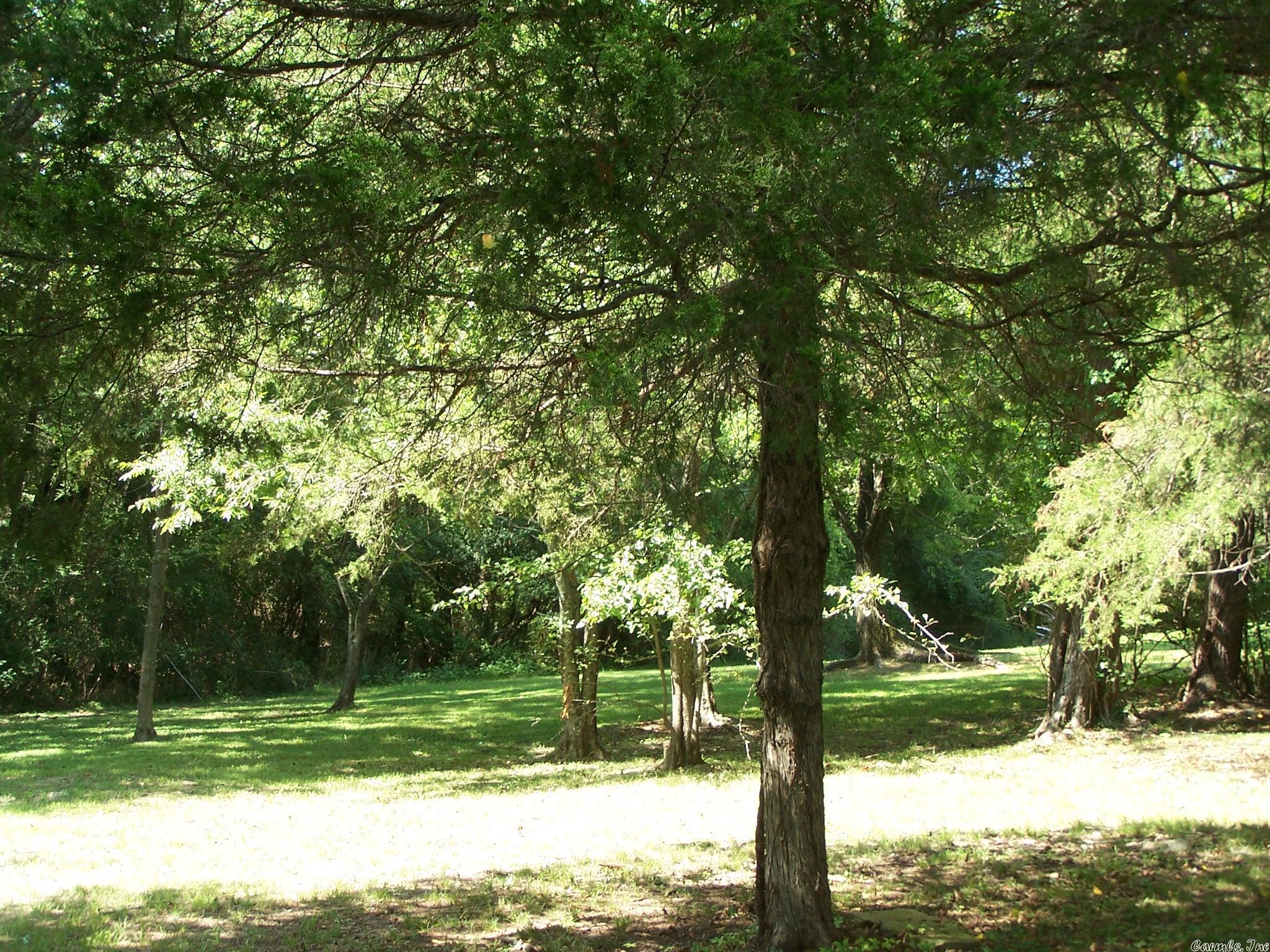 545 Ash Flat Dr Property Photo 15