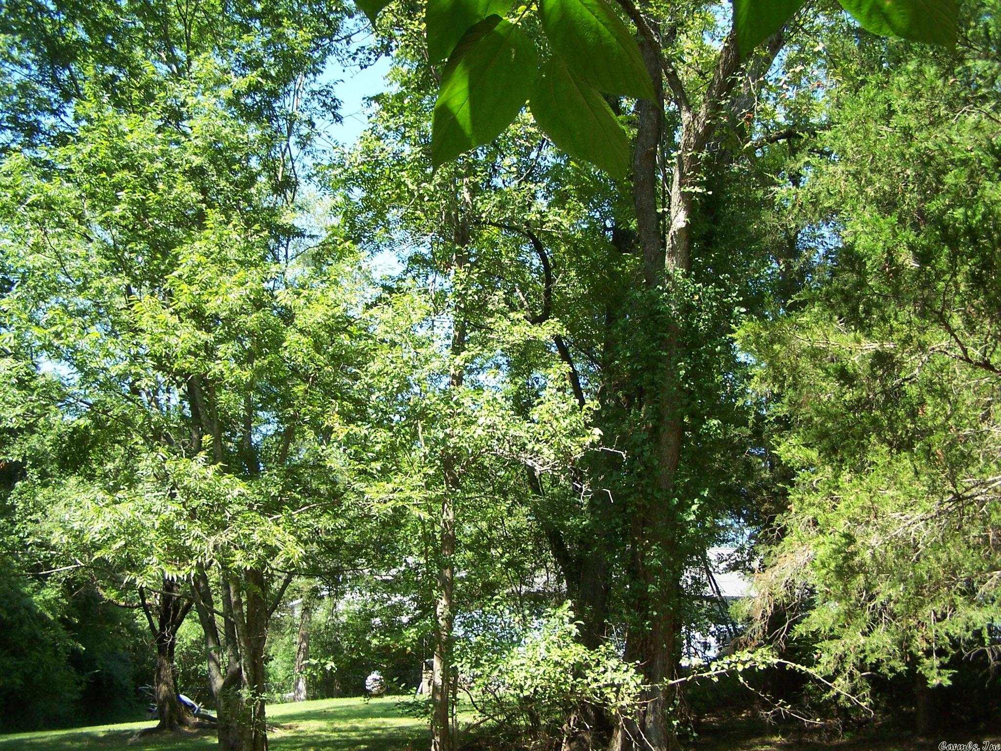 545 Ash Flat Dr Property Photo 17