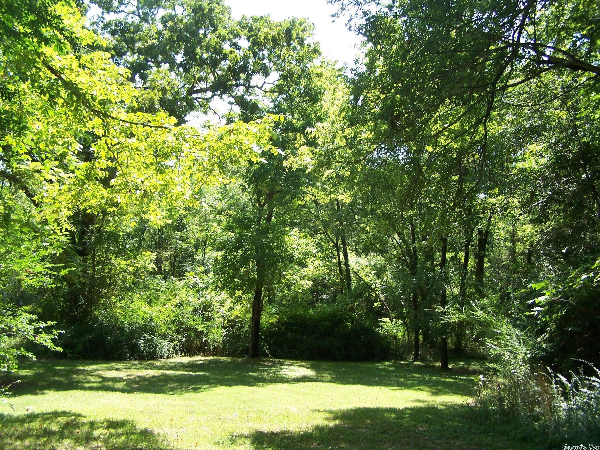 545 Ash Flat Dr Property Photo 18