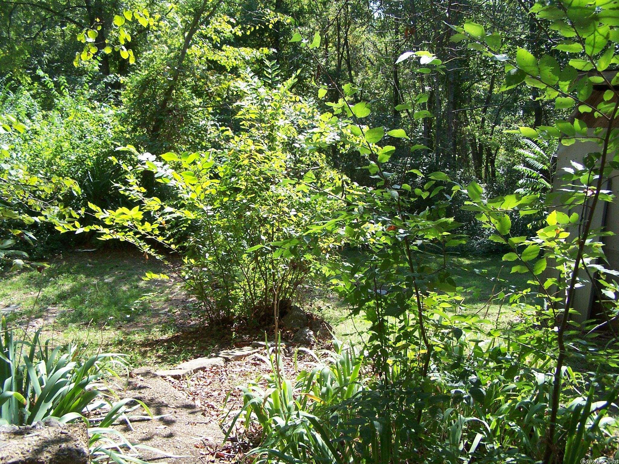 545 Ash Flat Dr Property Photo 21
