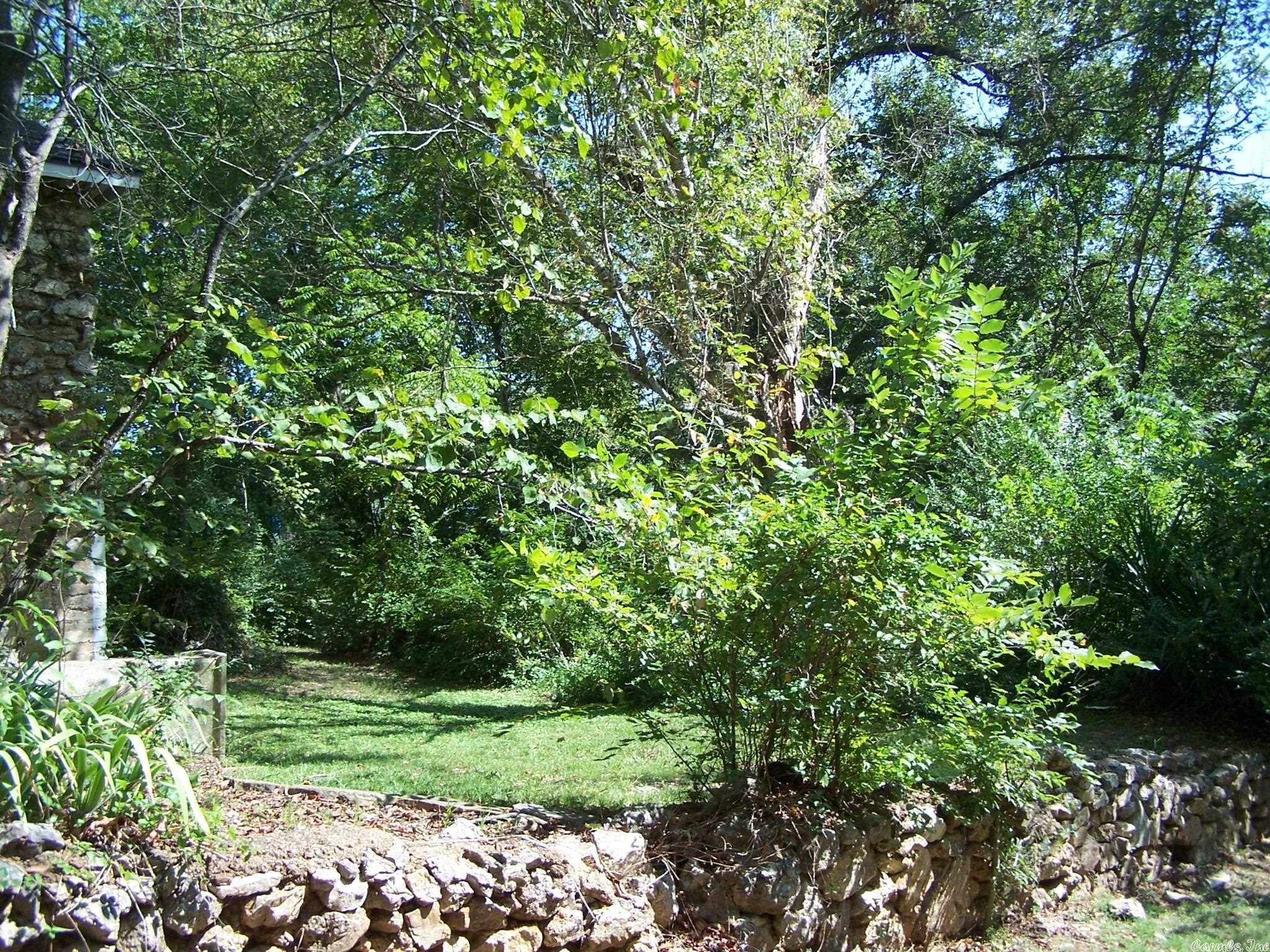 545 Ash Flat Dr Property Photo 22