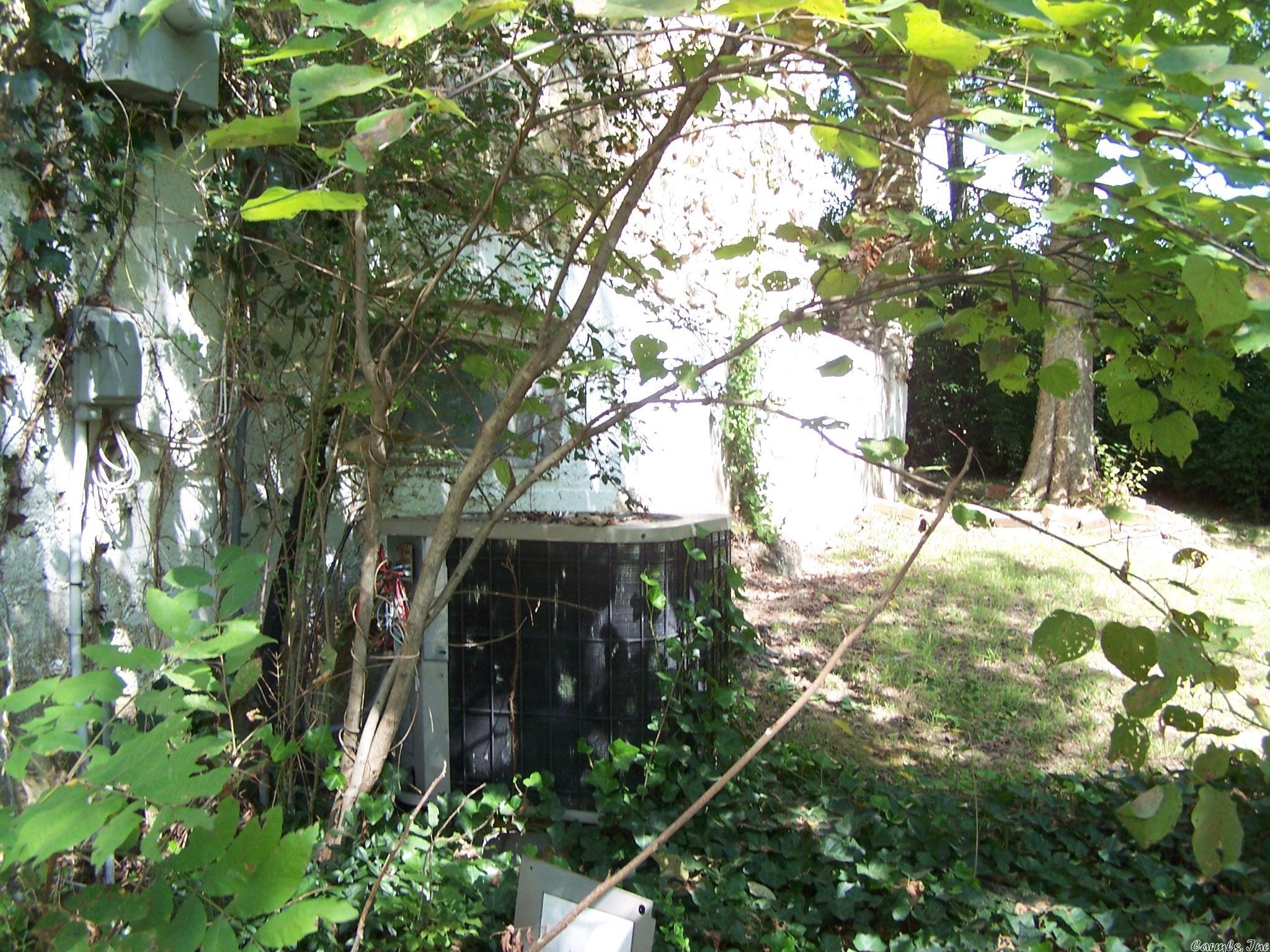 545 Ash Flat Dr Property Photo 39