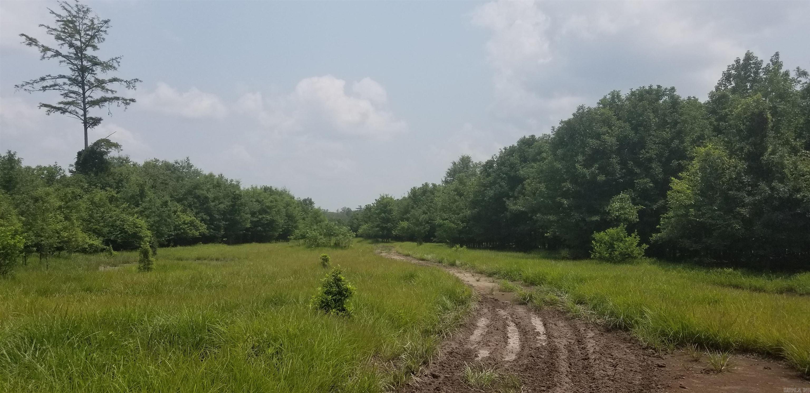 Metes & Bounds Calhoun Property Photo 7