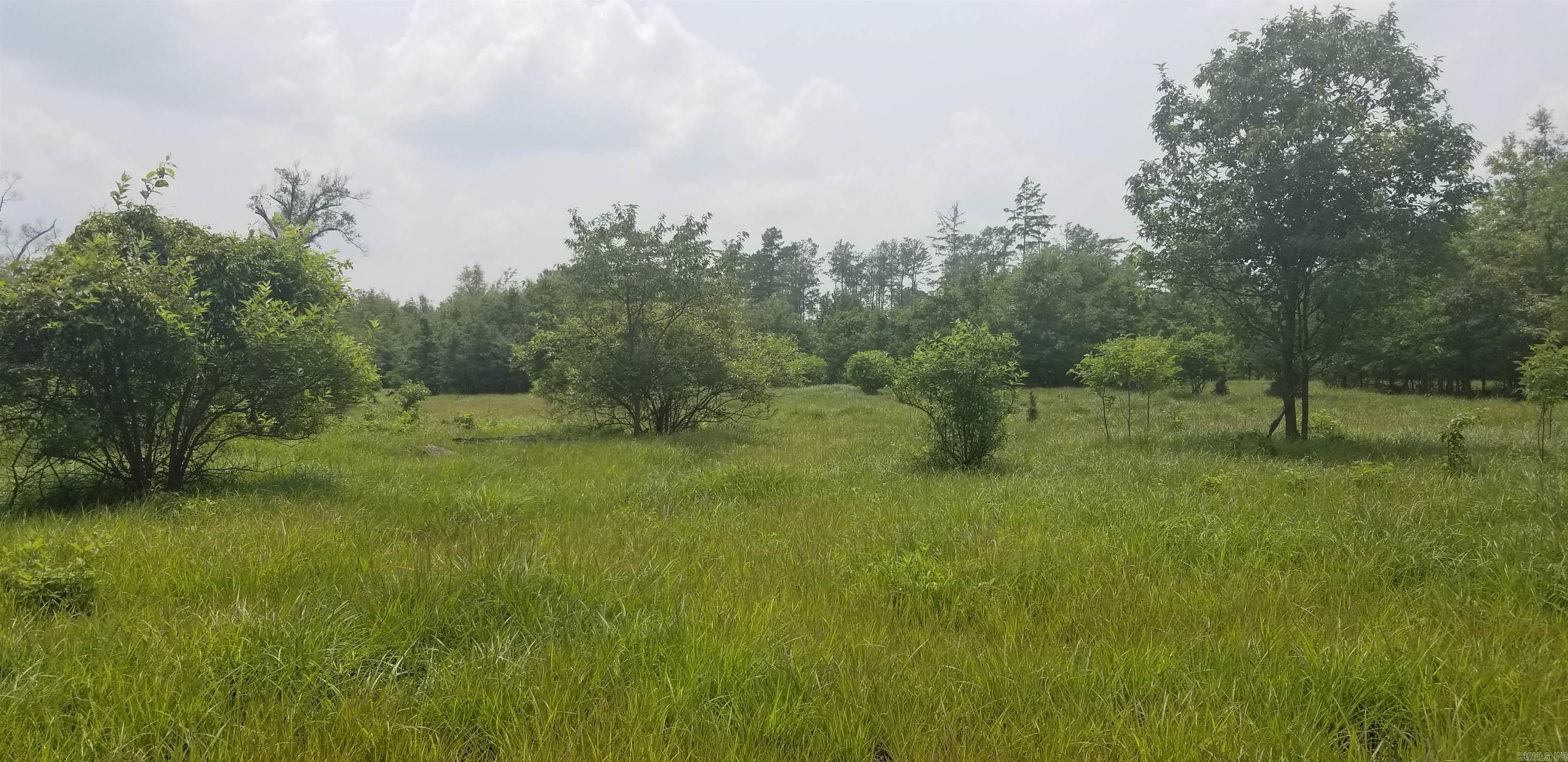 Metes & Bounds Calhoun Property Photo 8