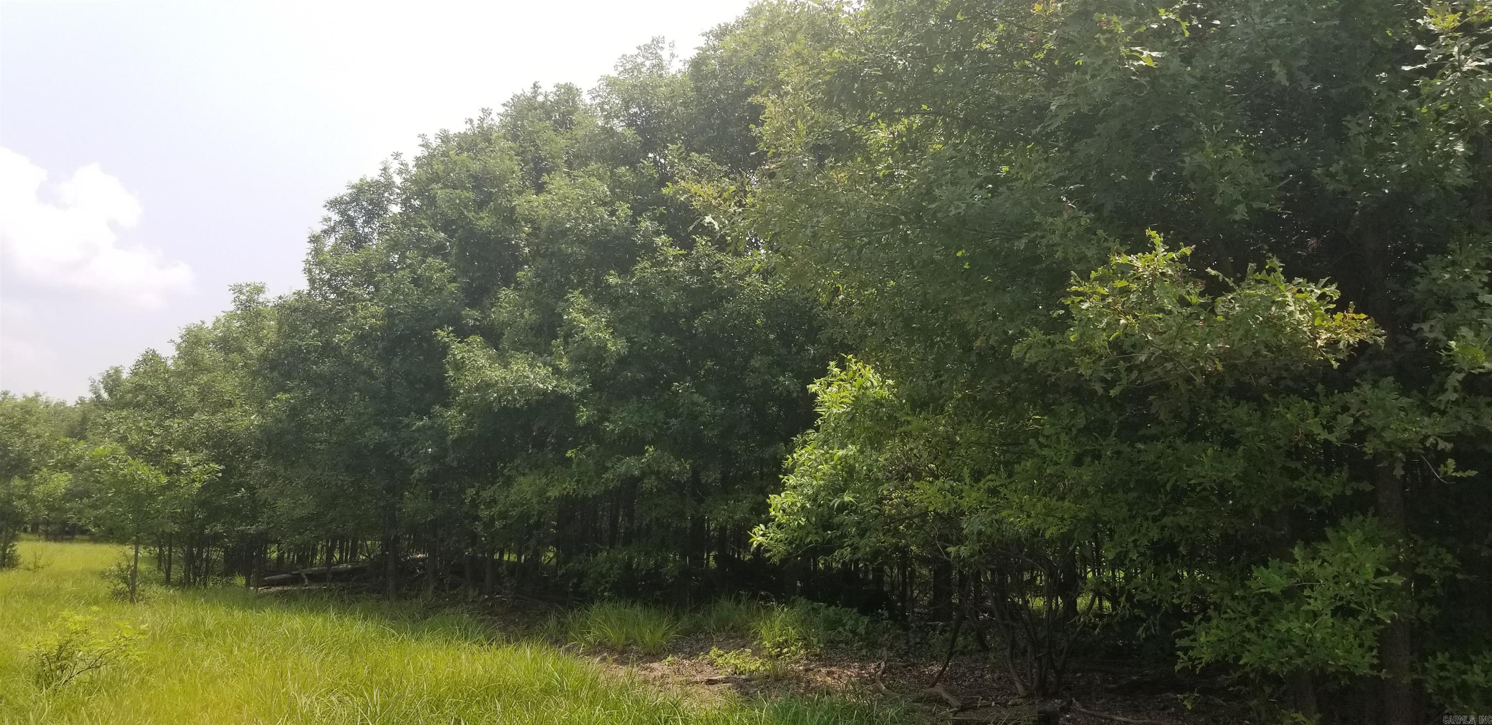 Metes & Bounds Calhoun Property Photo 9