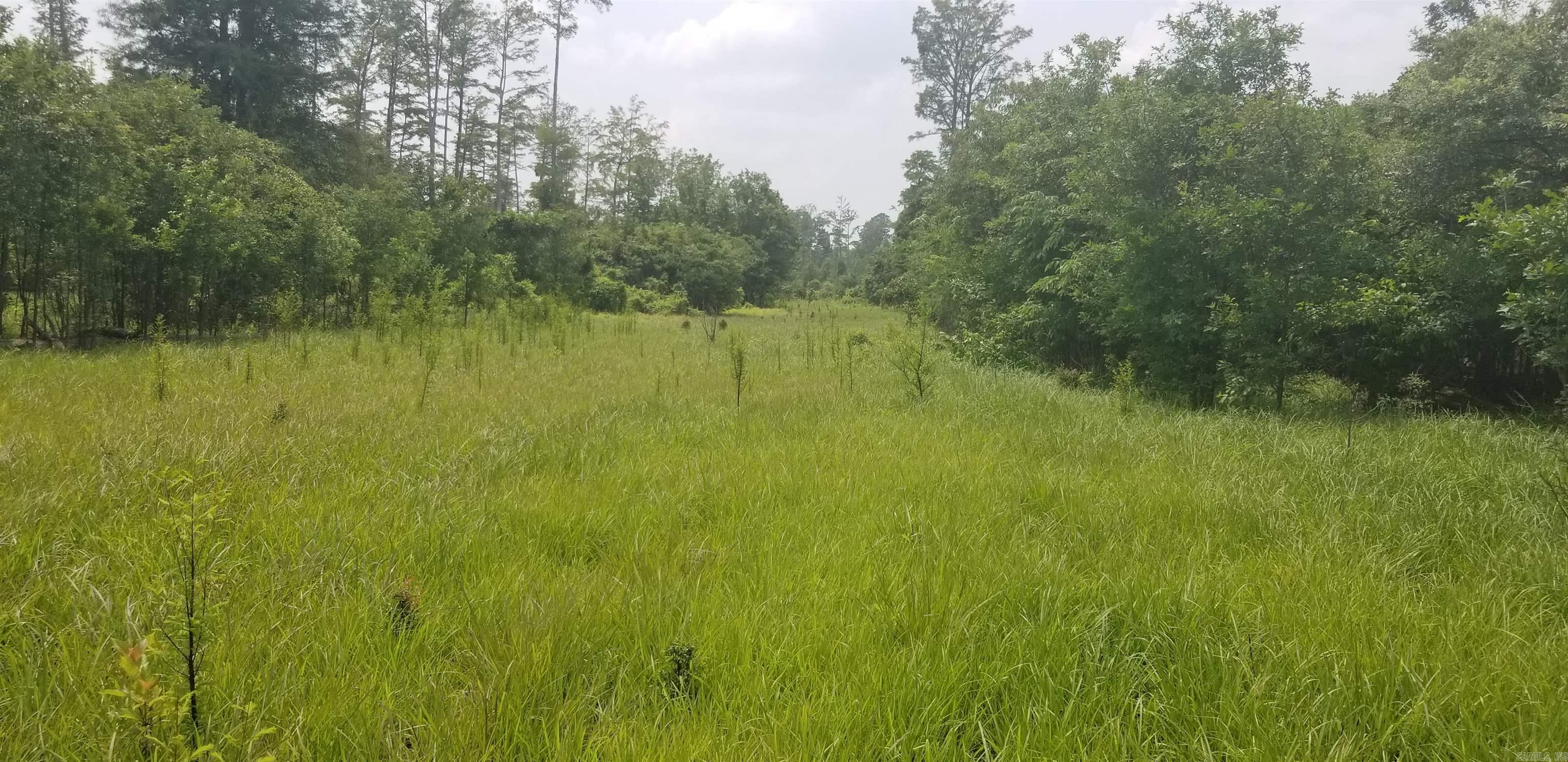 Metes & Bounds Calhoun Property Photo 11