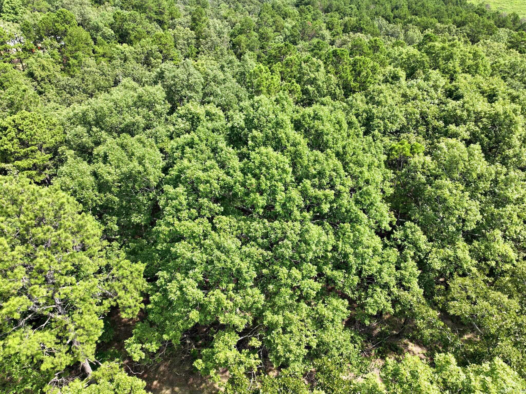 Tbd Rolling Oaks Lane Property Photo
