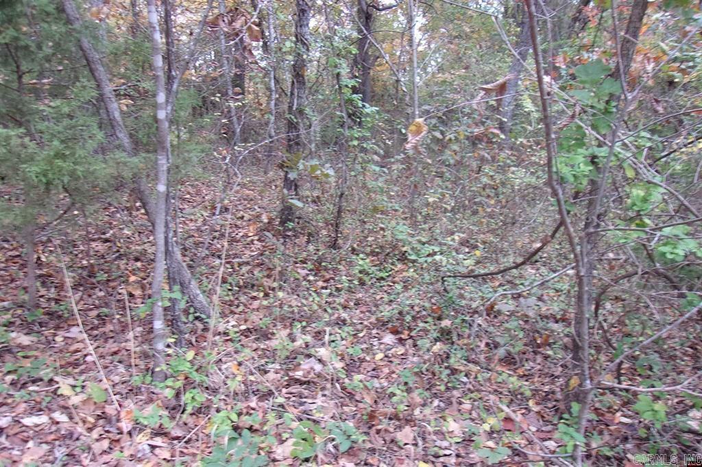 00 Flint Drive Property Photo 2