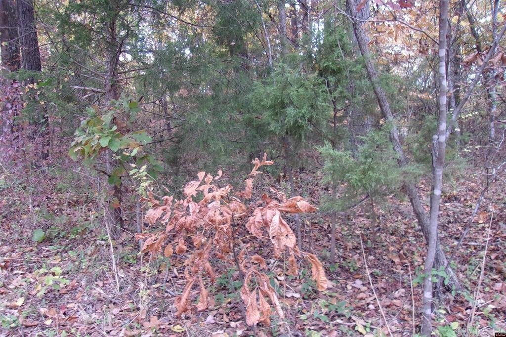 00 Flint Drive Property Photo 3