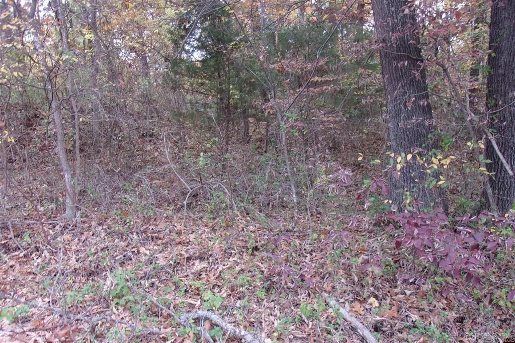 00 Flint Drive Property Photo 5