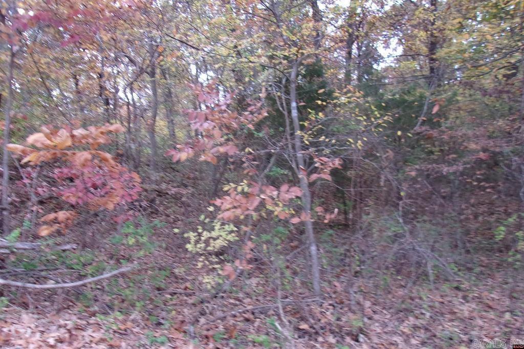 00 Flint Drive Property Photo 7