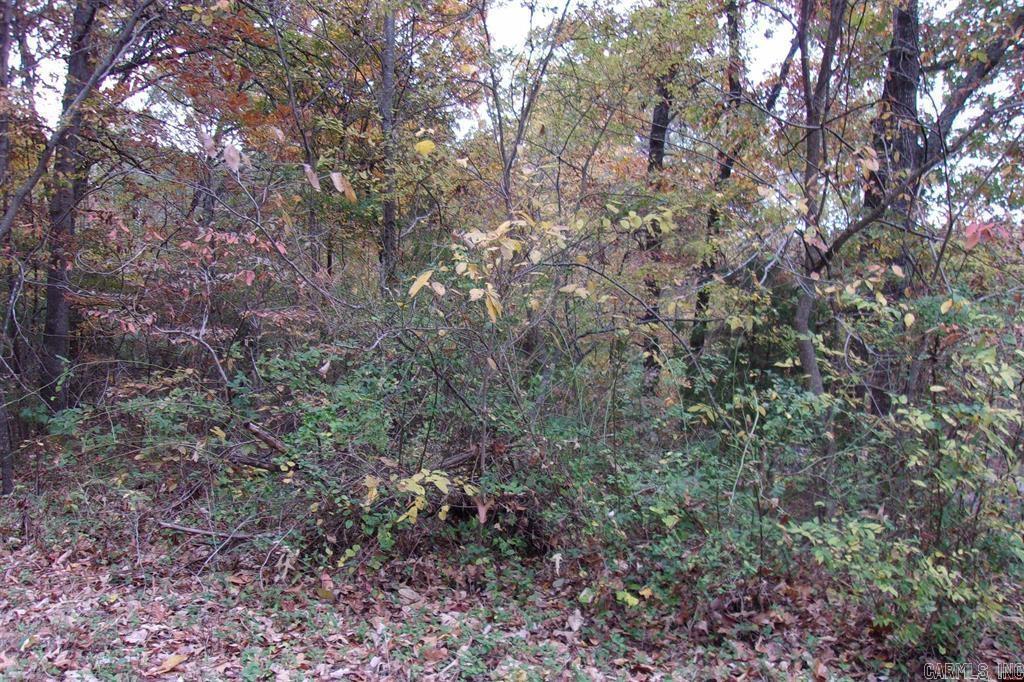 00 Flint Drive Property Photo 8