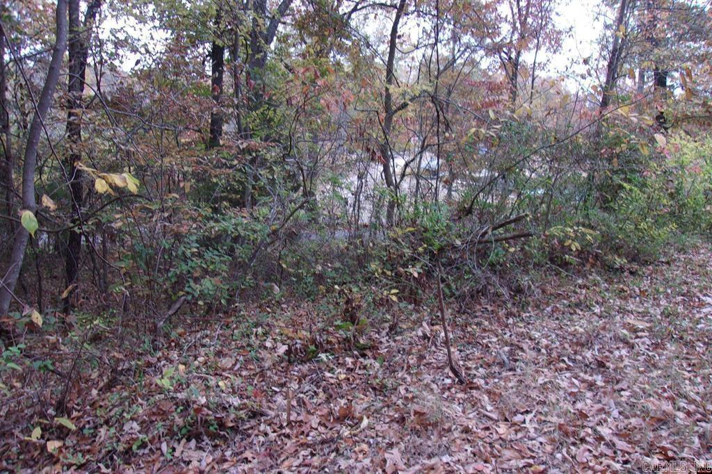 00 Flint Drive Property Photo 10