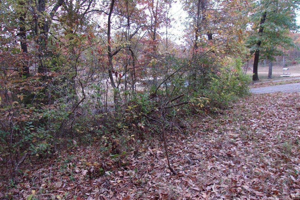 00 Flint Drive Property Photo 11