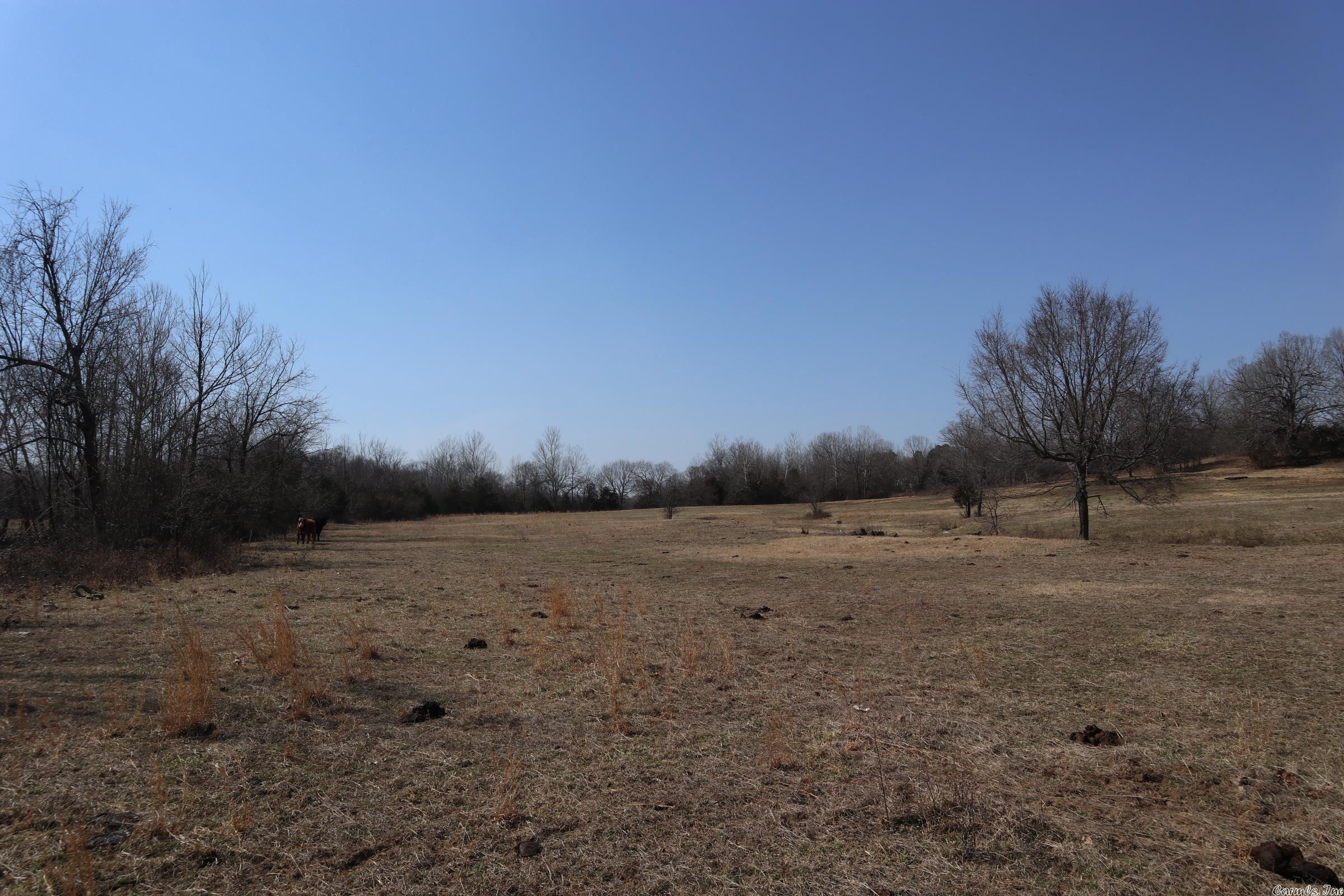 Tbd Byron Rd Property Photo 11