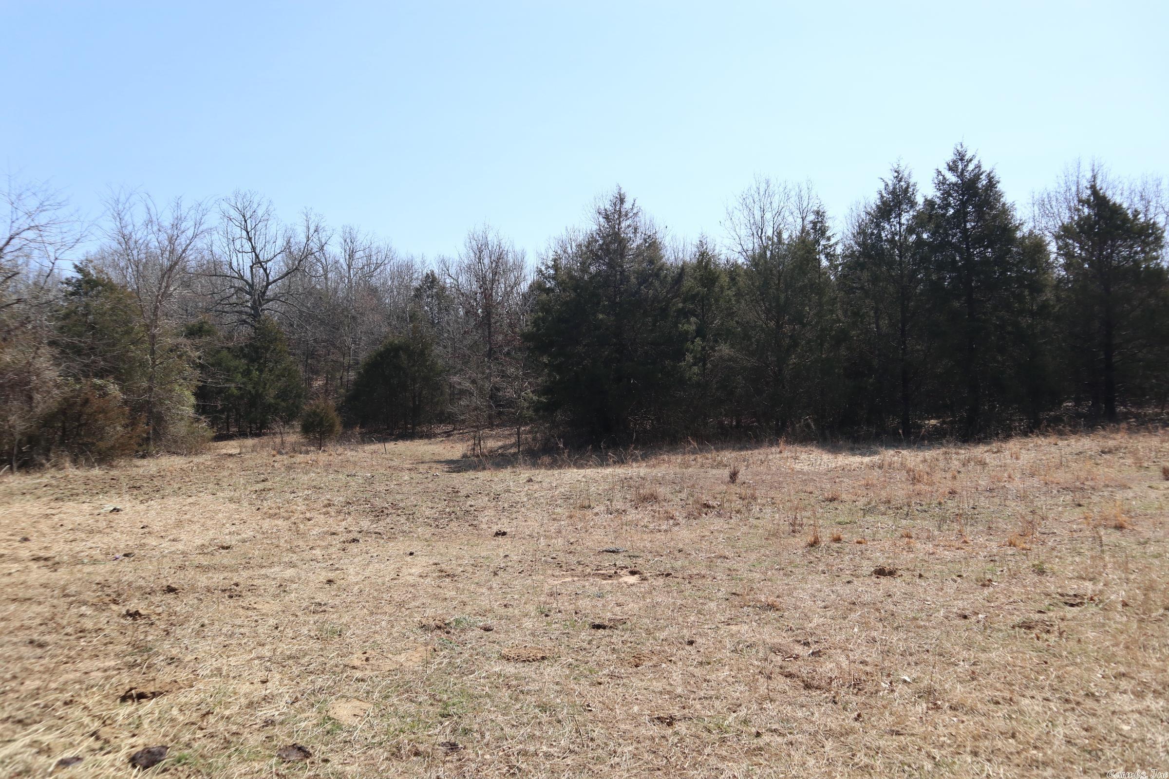 Tbd Byron Rd Property Photo 15