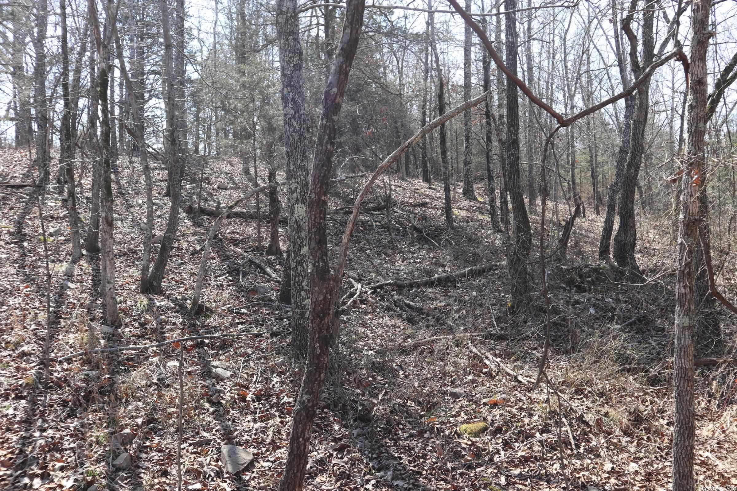 Tbd Byron Rd Property Photo 16