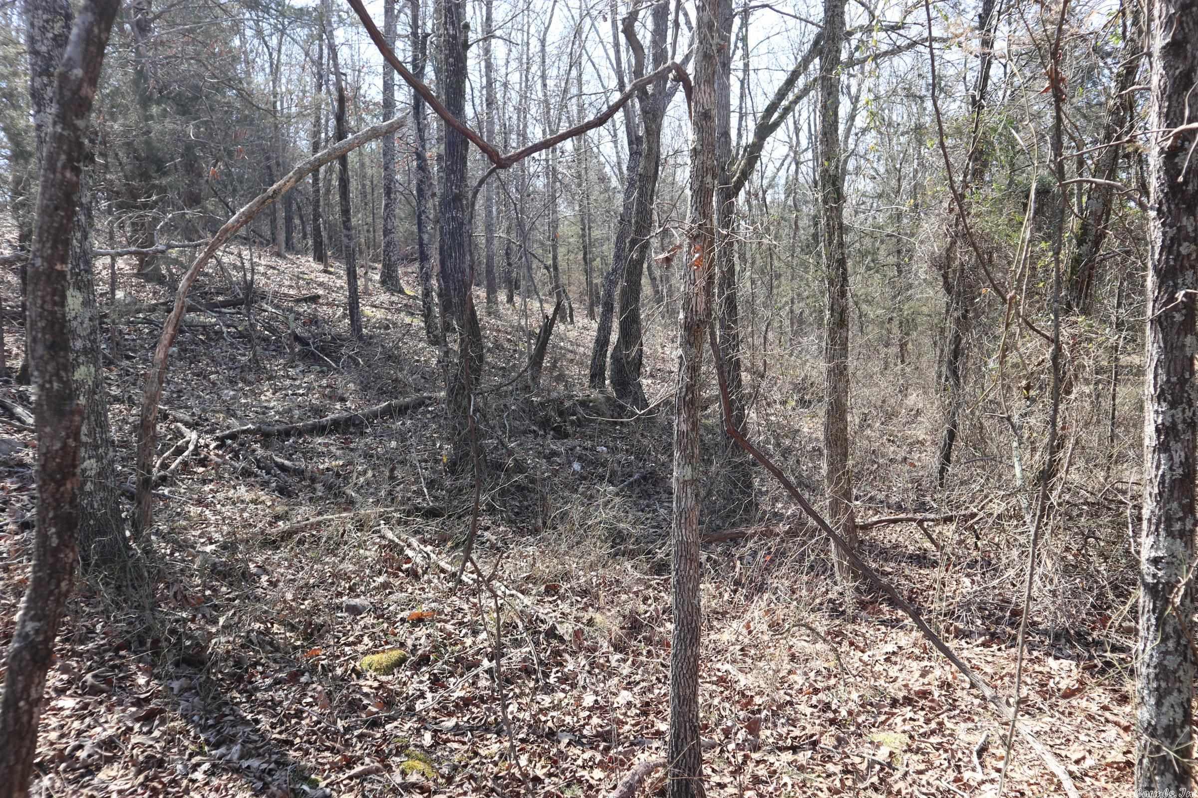 Tbd Byron Rd Property Photo 17