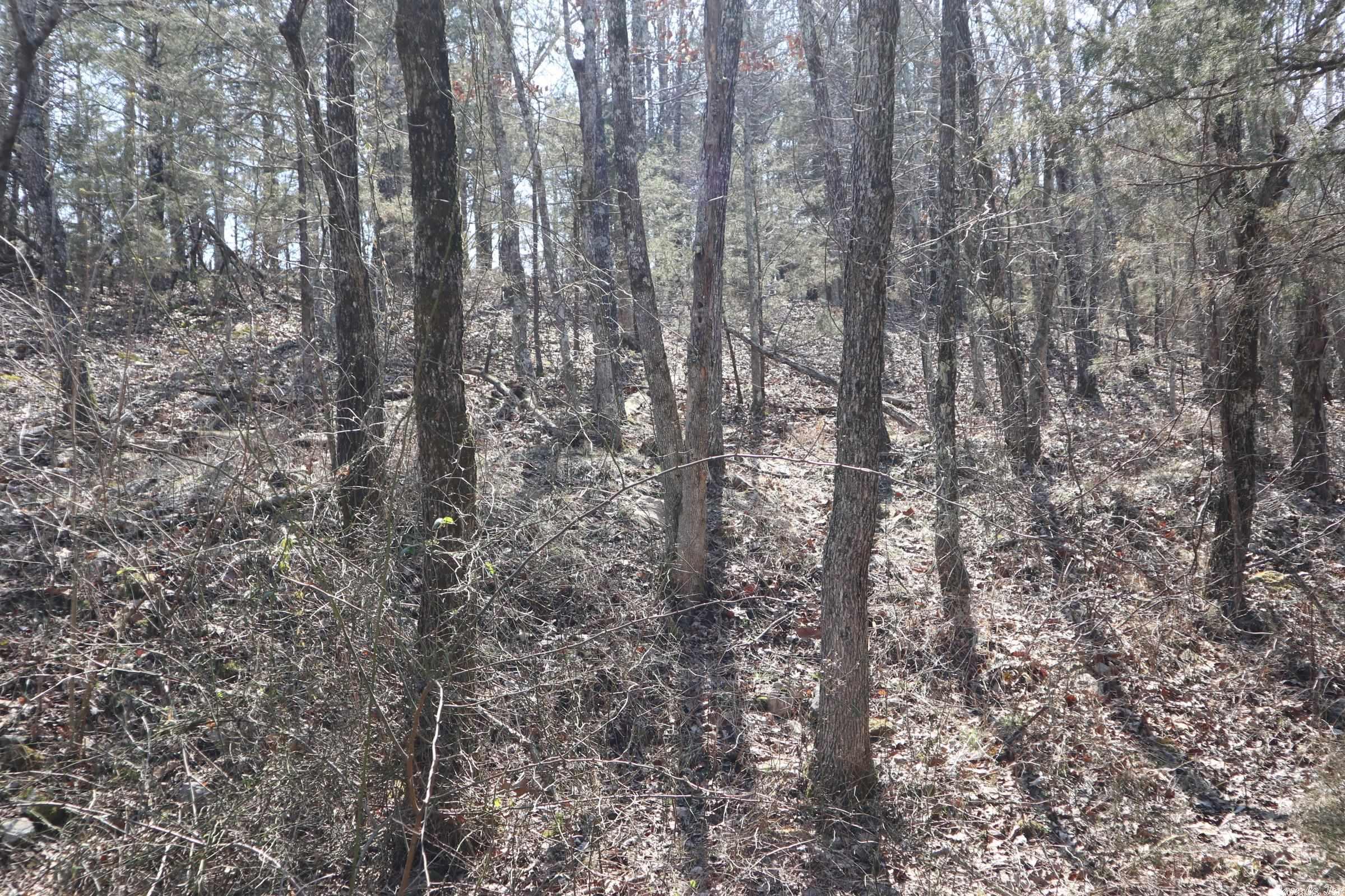 Tbd Byron Rd Property Photo 18
