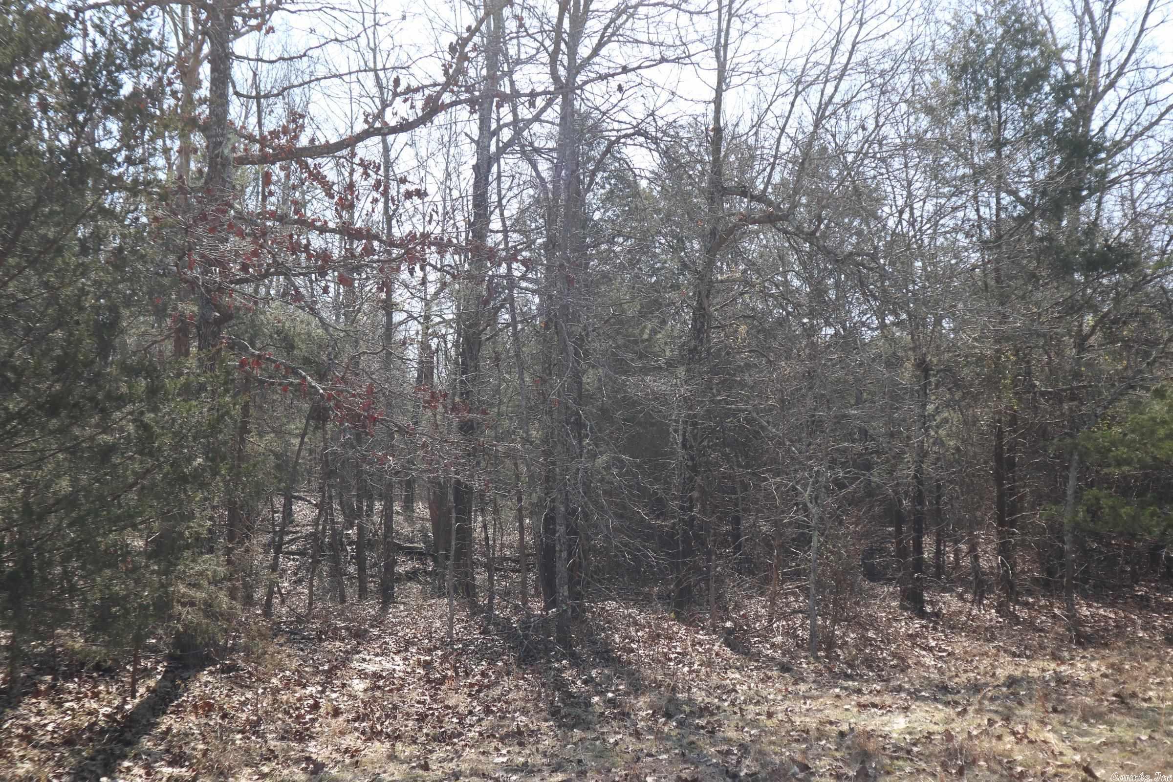 Tbd Byron Rd Property Photo 19