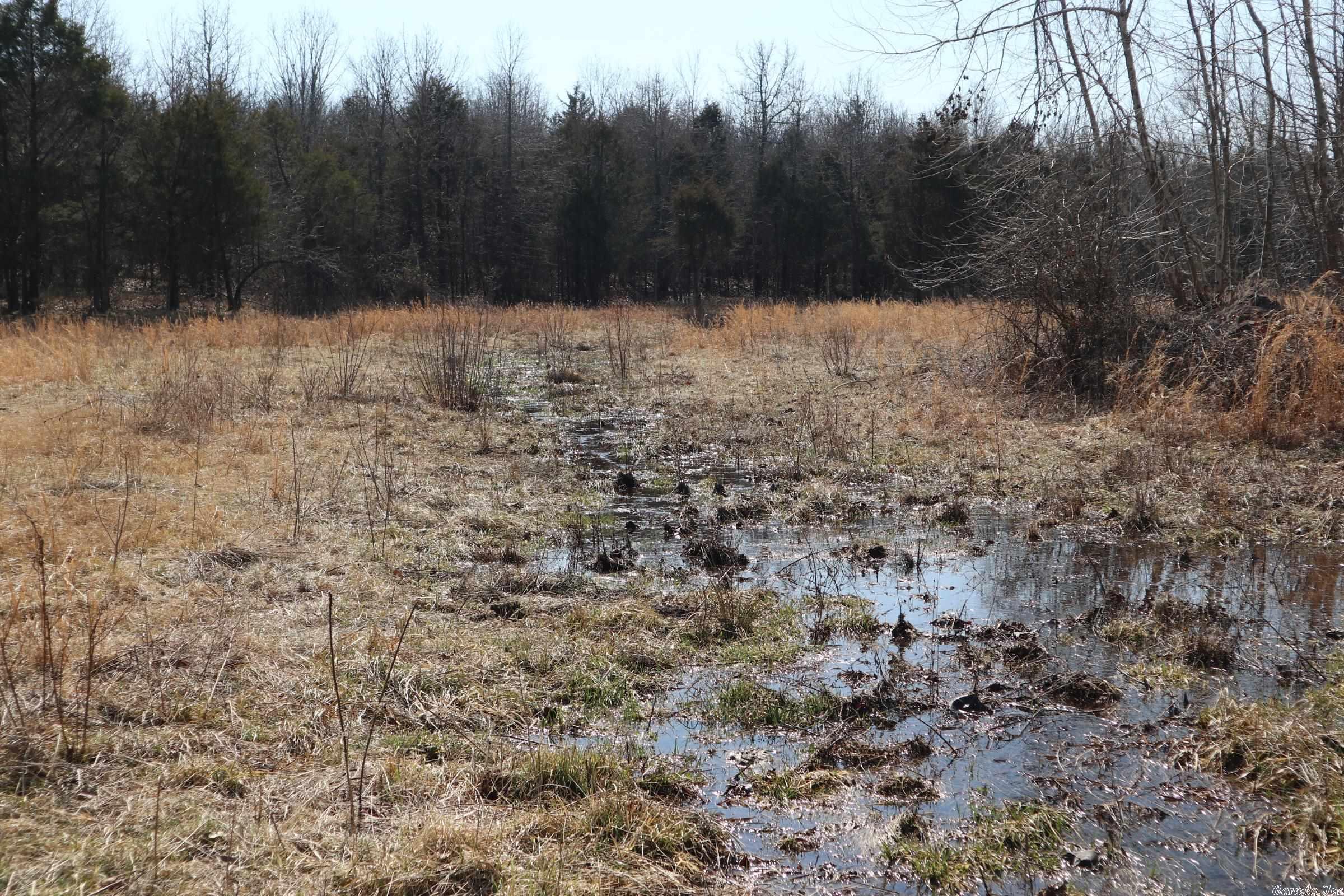 Tbd Byron Rd Property Photo 21