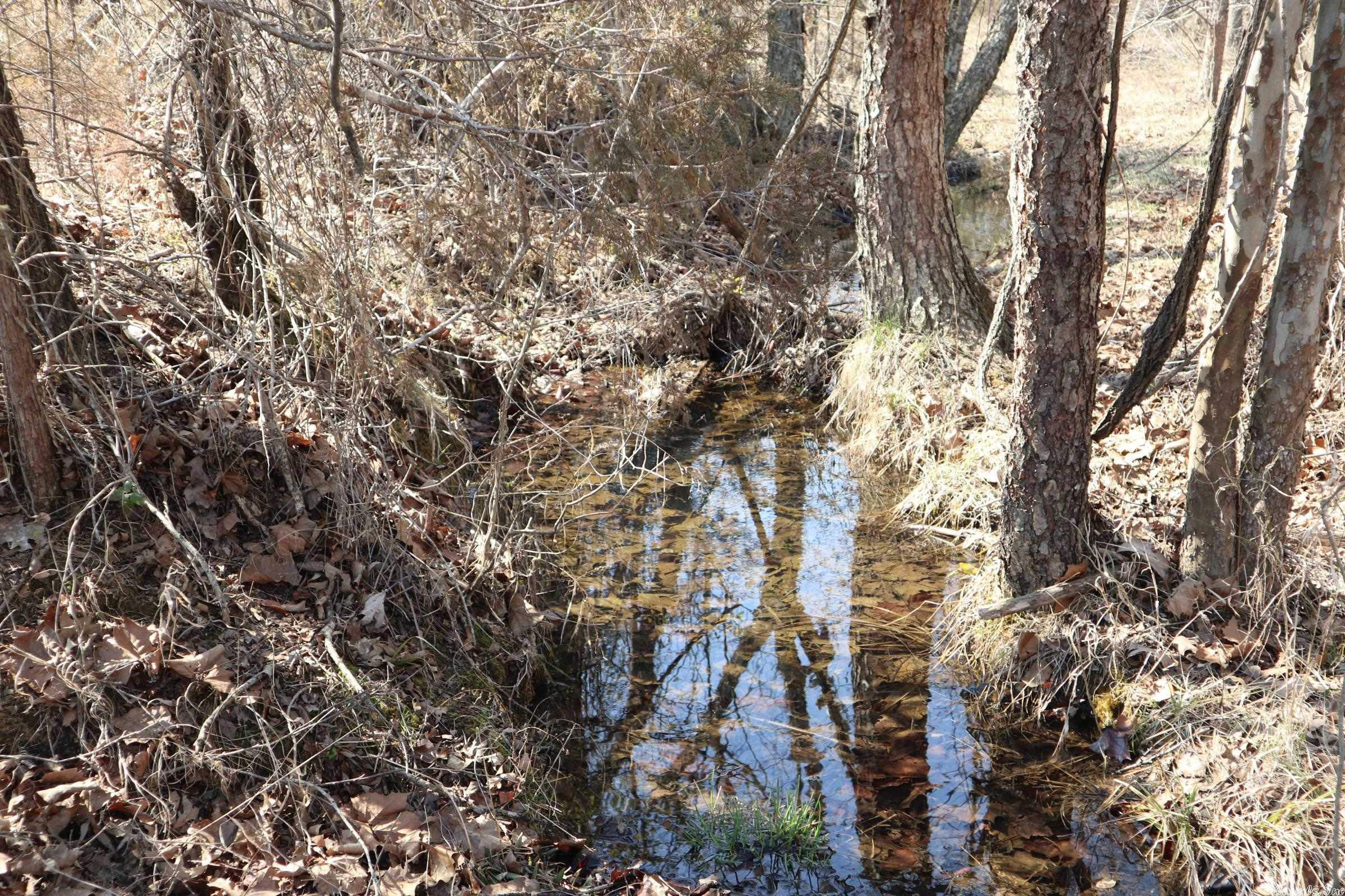Tbd Byron Rd Property Photo 22