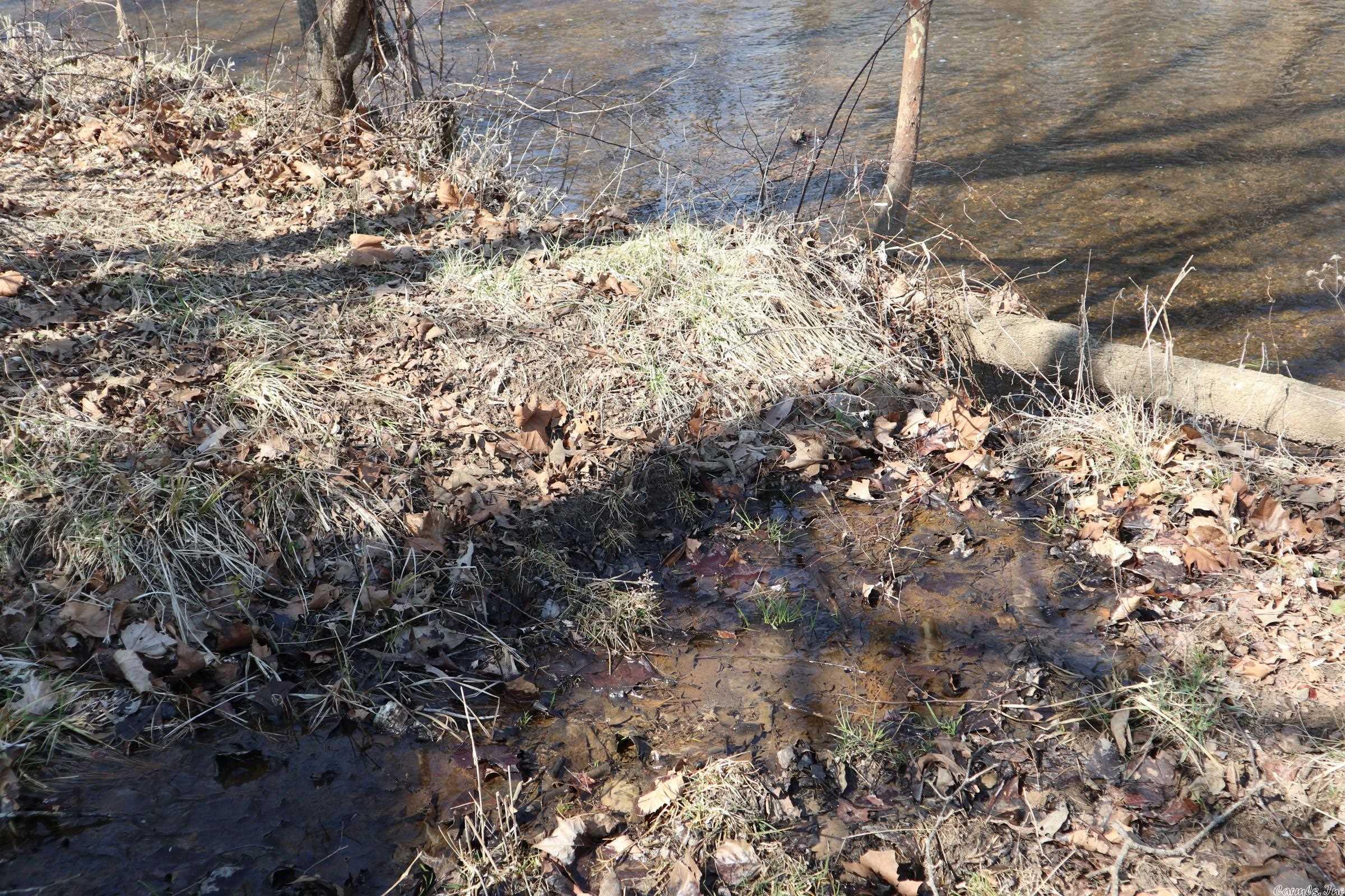 Tbd Byron Rd Property Photo 23