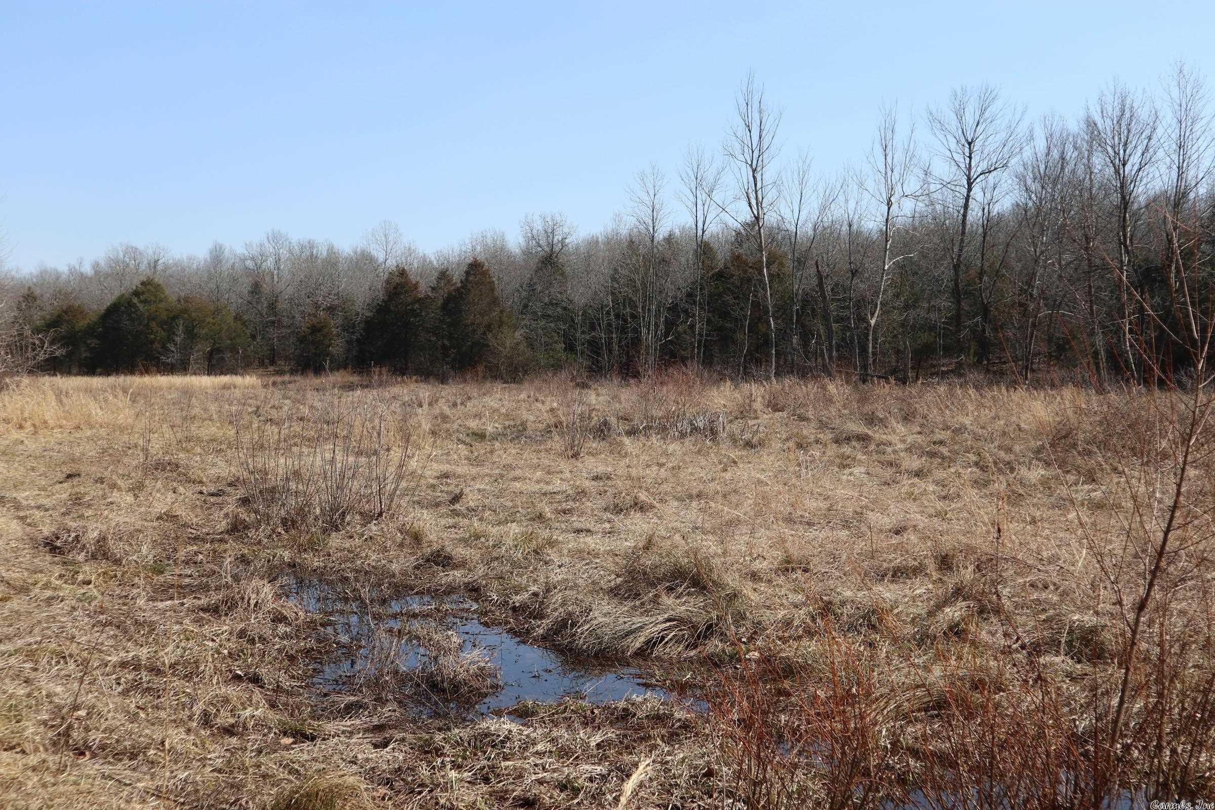 Tbd Byron Rd Property Photo 24