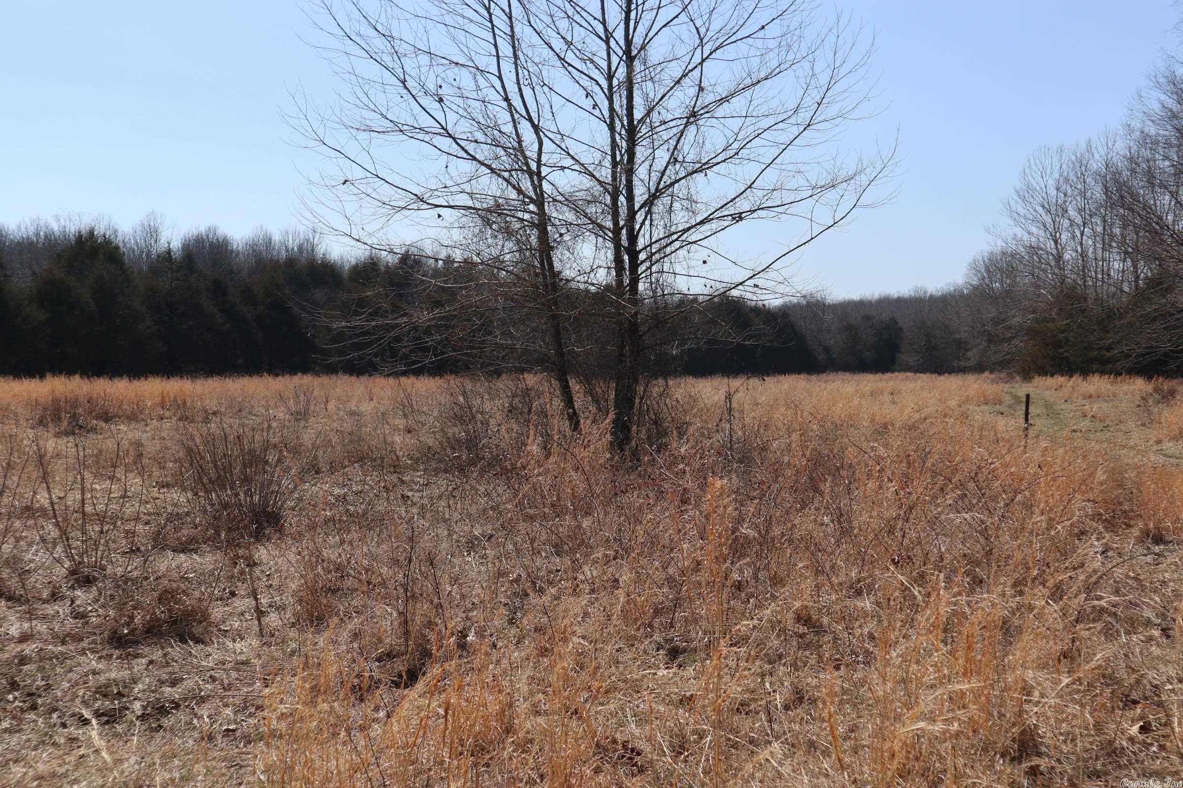 Tbd Byron Rd Property Photo 25
