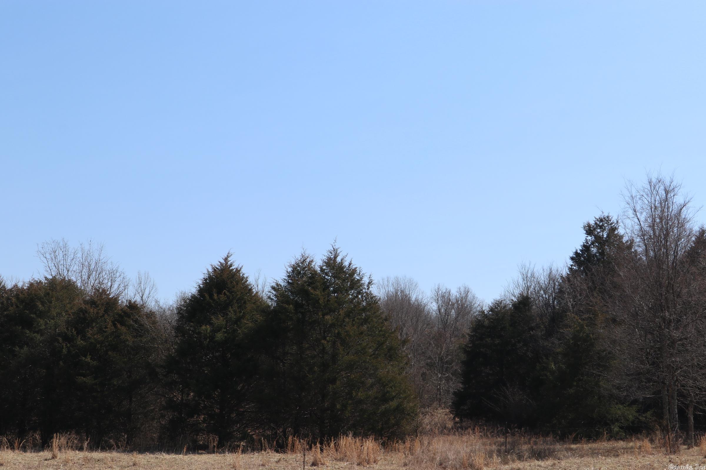 Tbd Byron Rd Property Photo 28