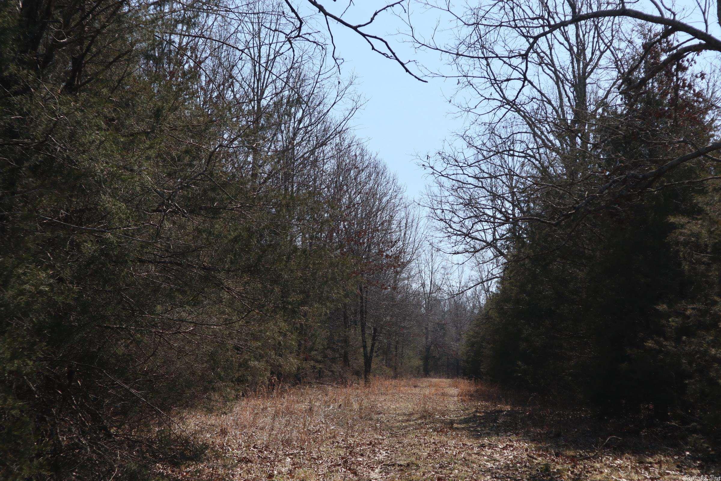 Tbd Byron Rd Property Photo 29