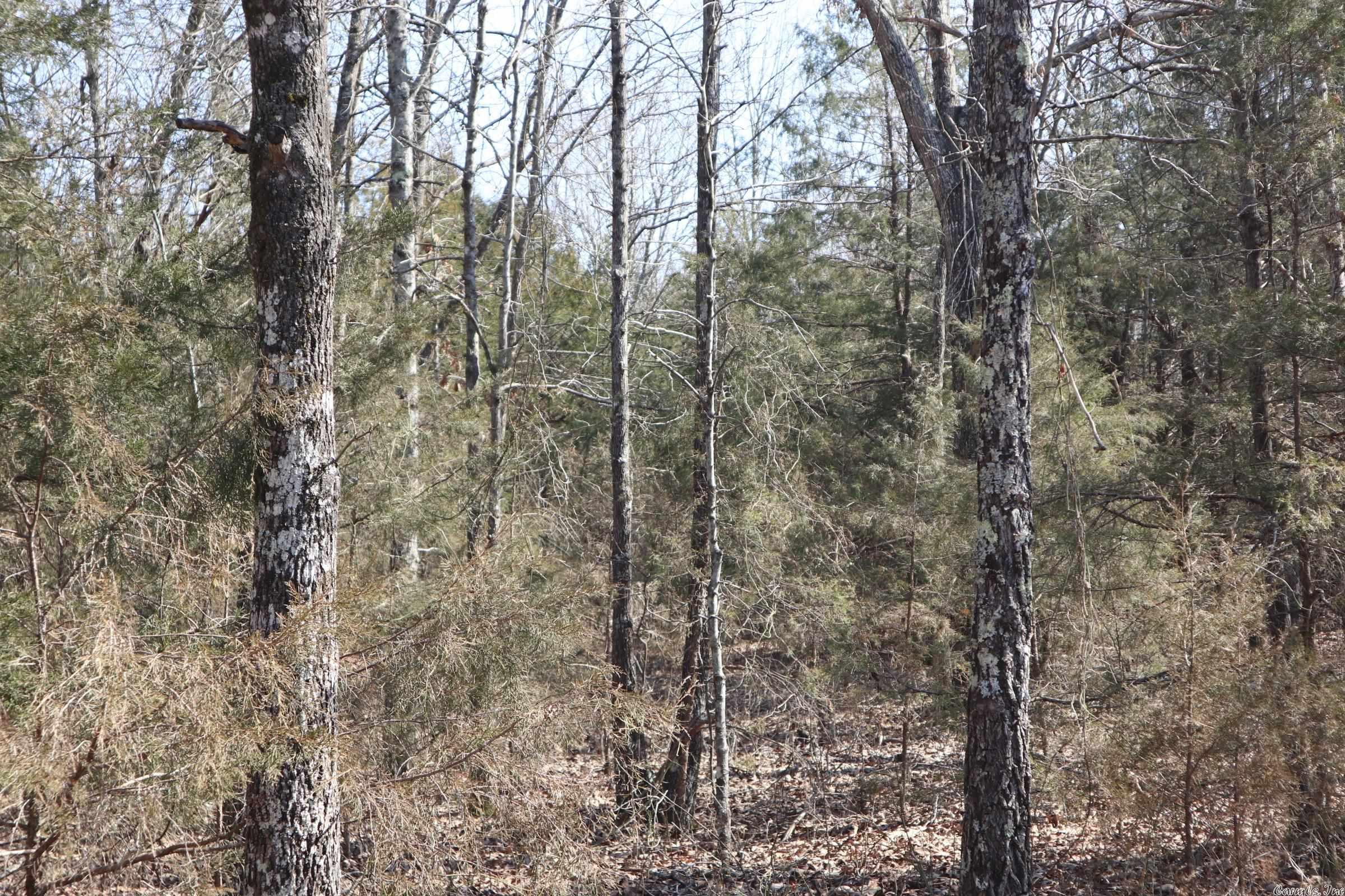 Tbd Byron Rd Property Photo 30