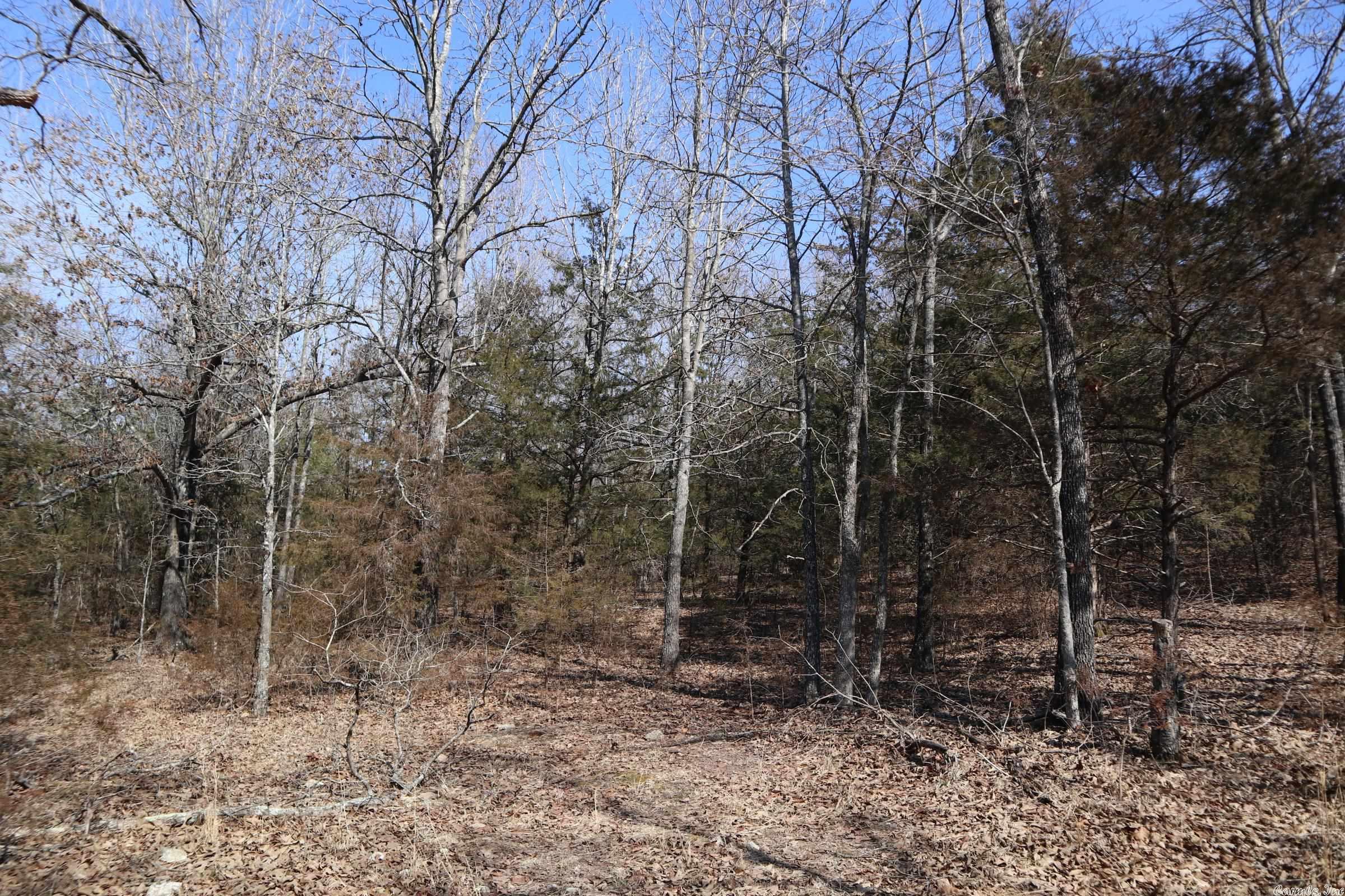 Tbd Byron Rd Property Photo 31