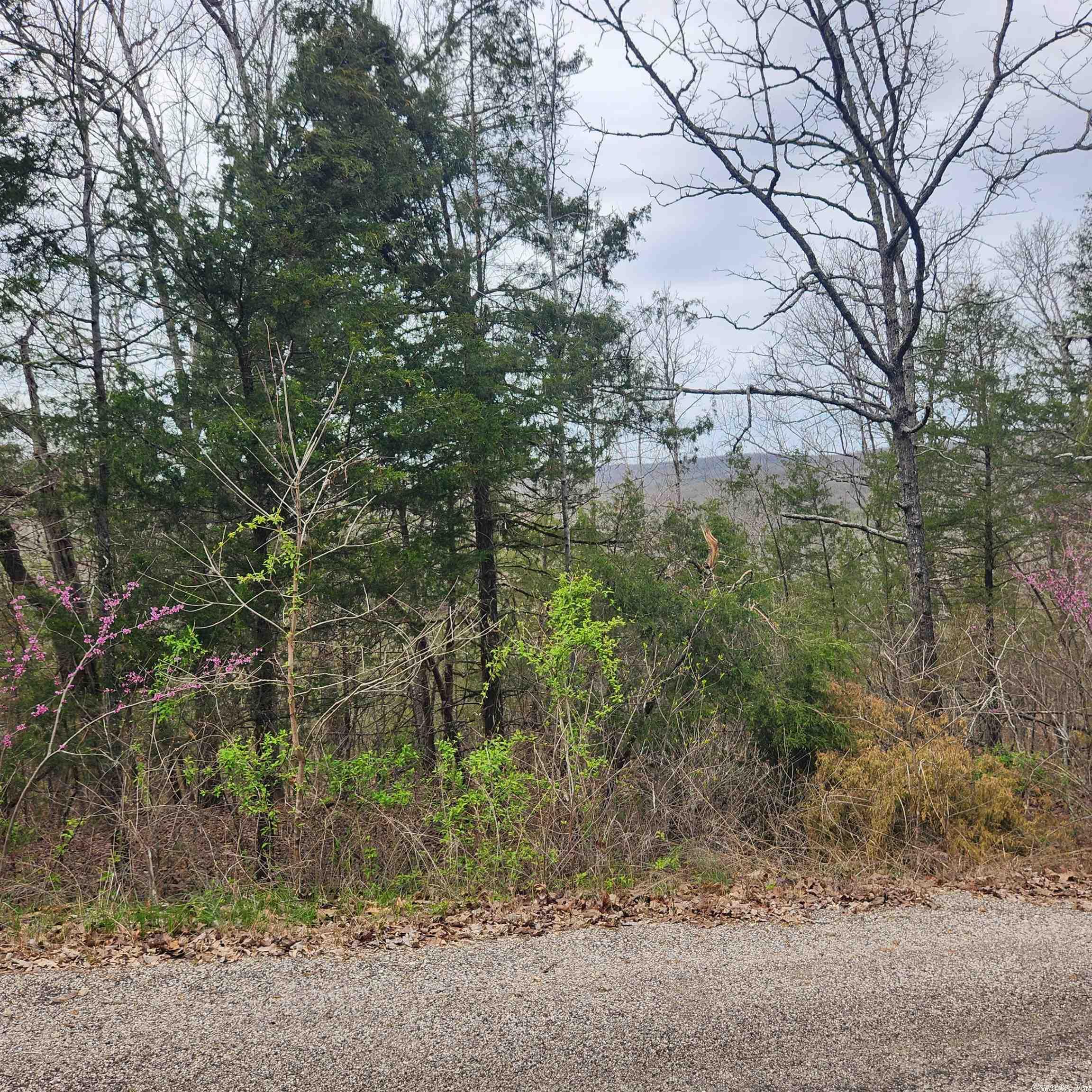 L-8, B-11 Choctaw Drive Property Photo