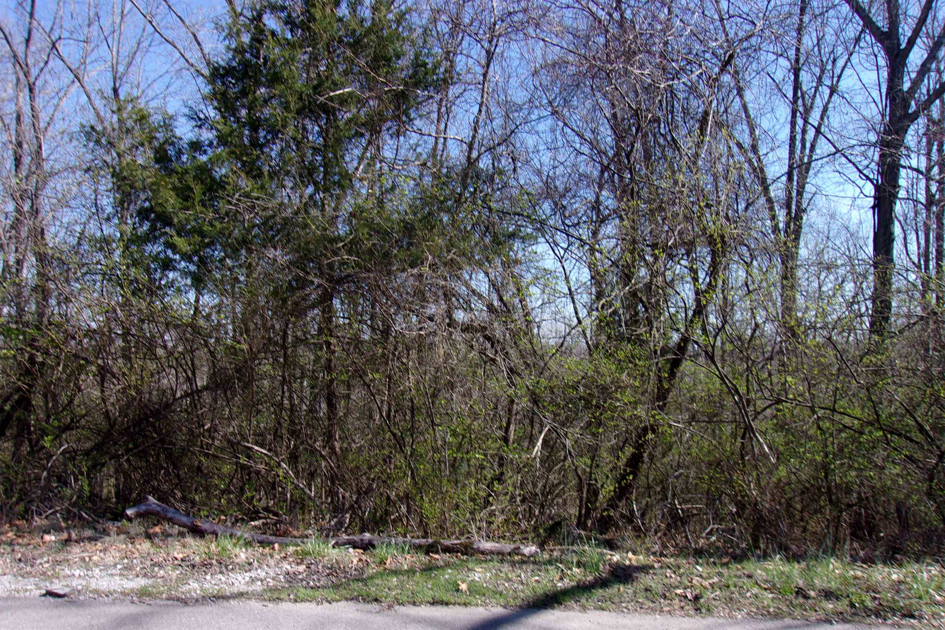 00 8th Street Property Photo 8