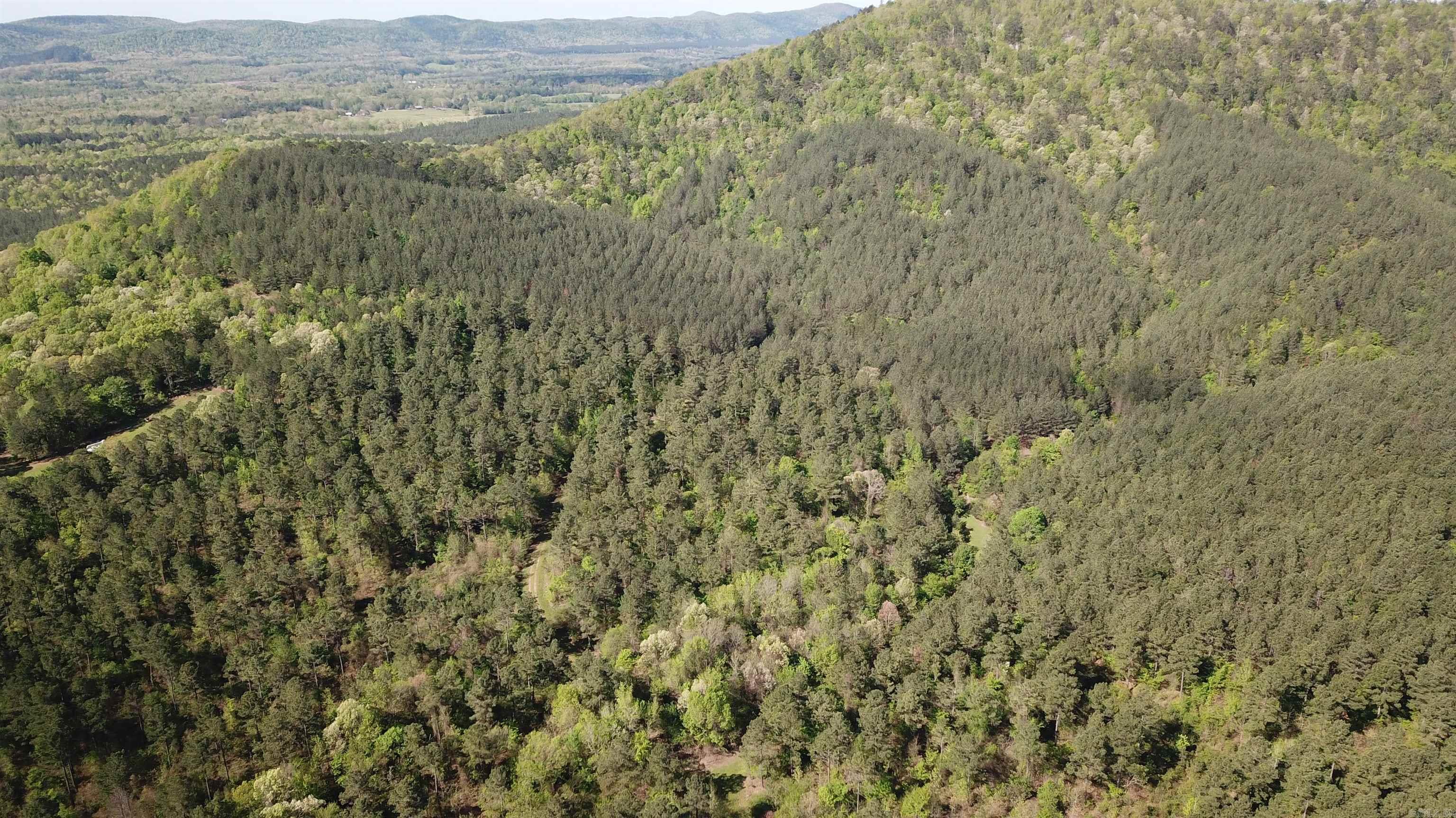 Hwy 240 Property Photo 3