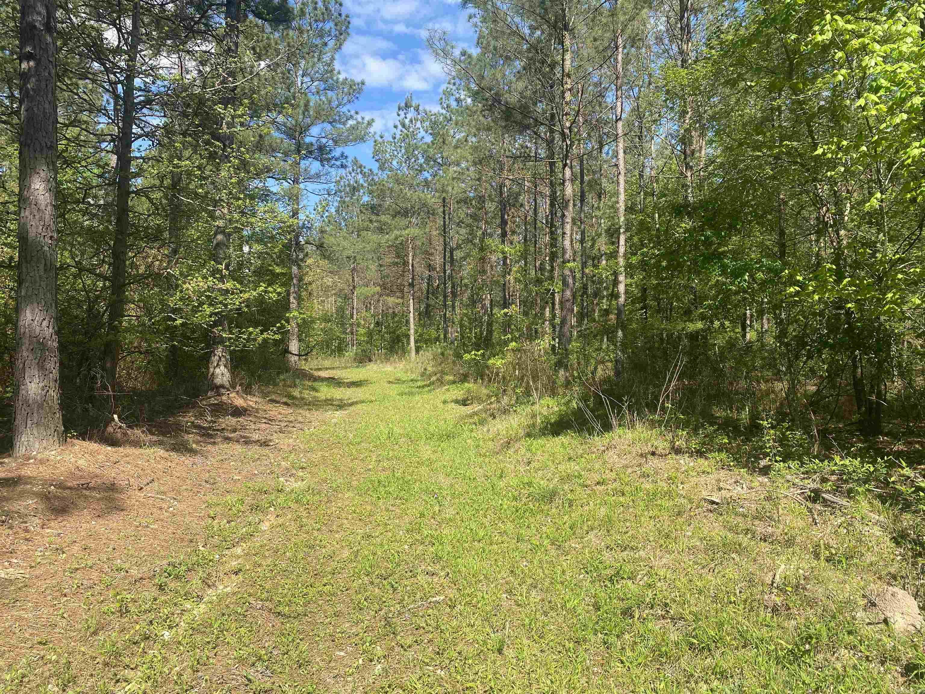 Hwy 240 Property Photo 12