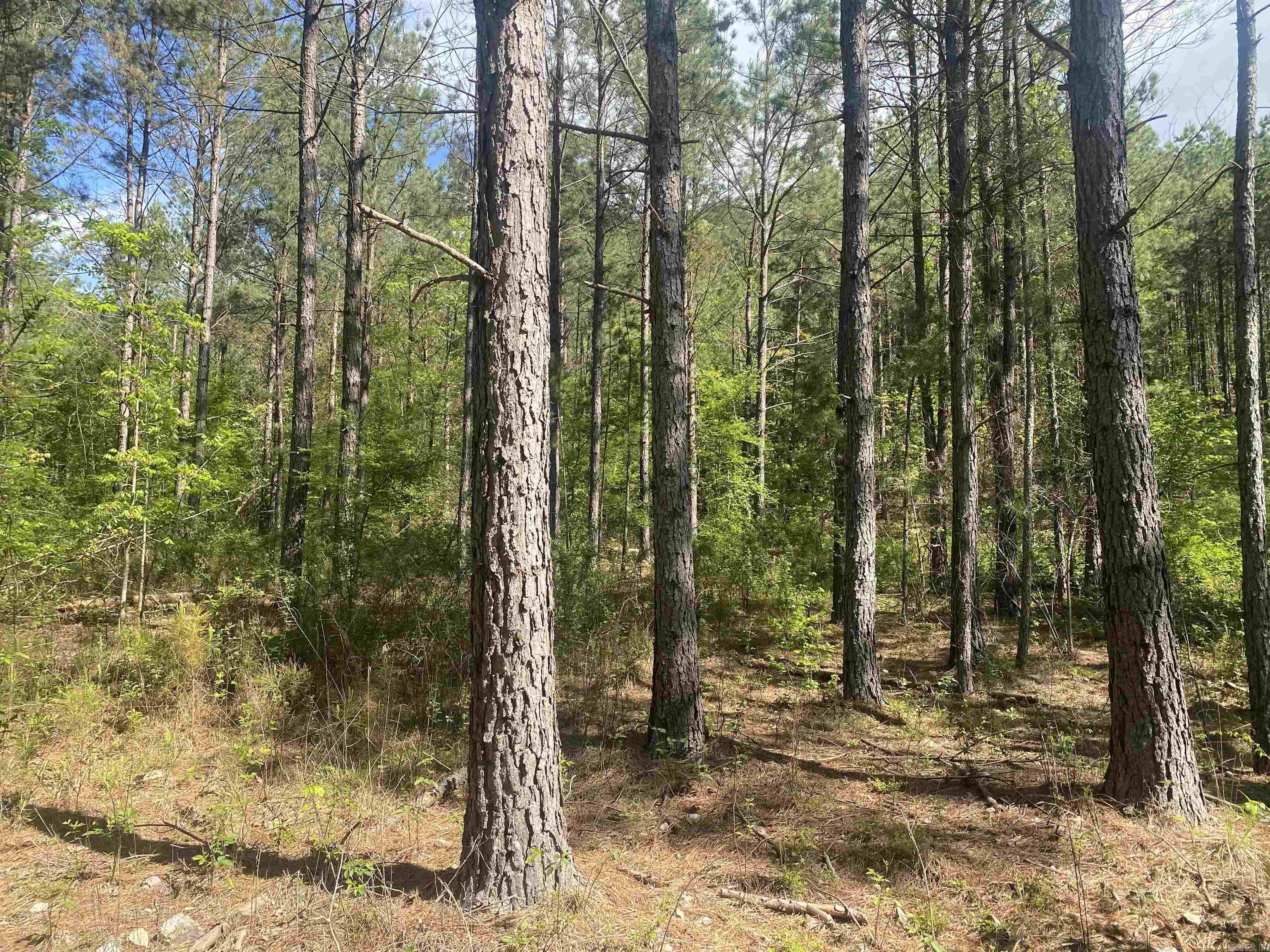 Hwy 240 Property Photo 13