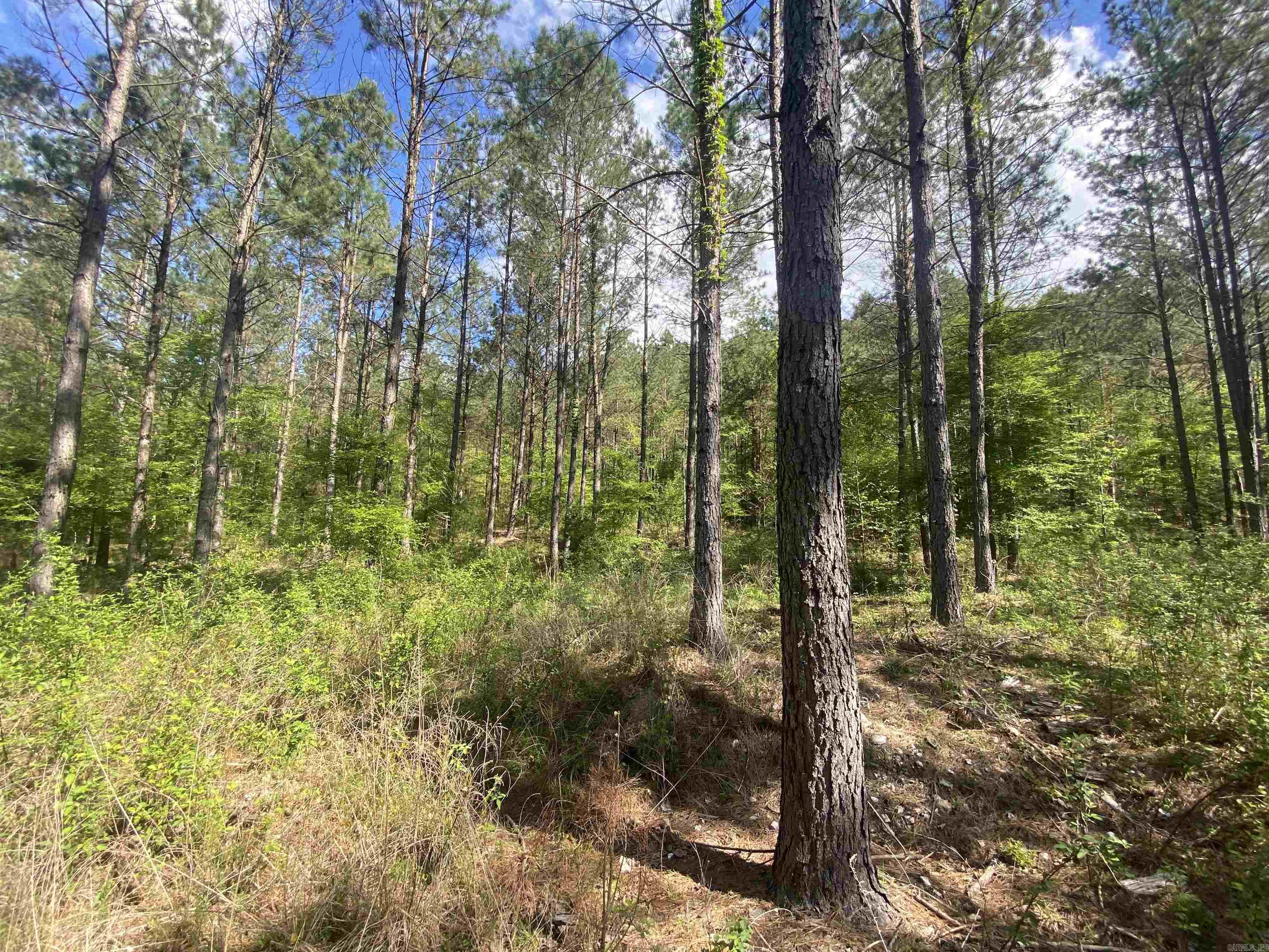 Hwy 240 Property Photo 14